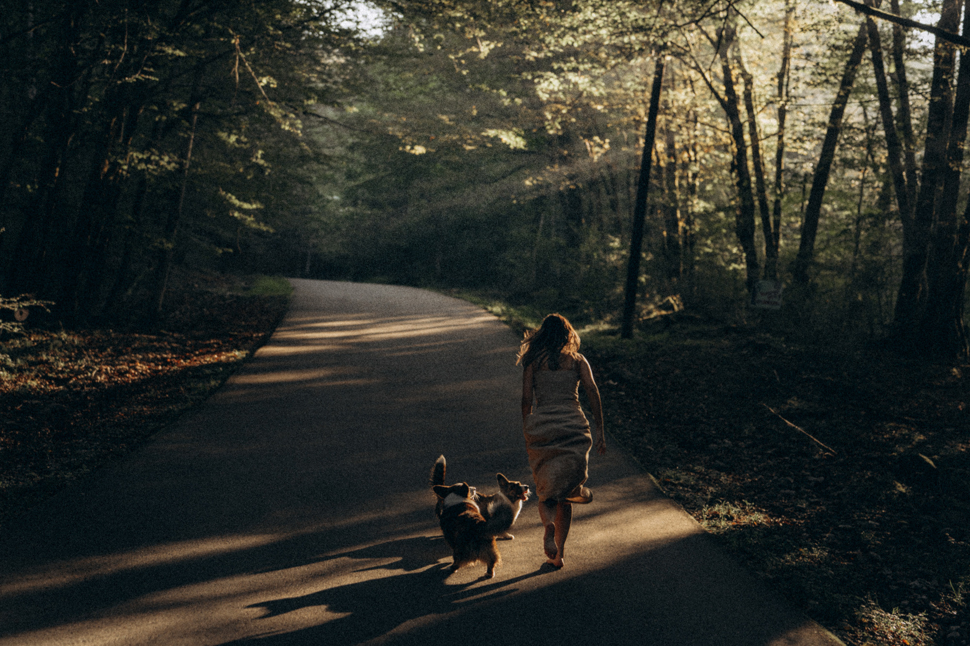Влада и Коржики. Фотограф анималист в Москве и Санкт-Петербурге Свиридова Анна