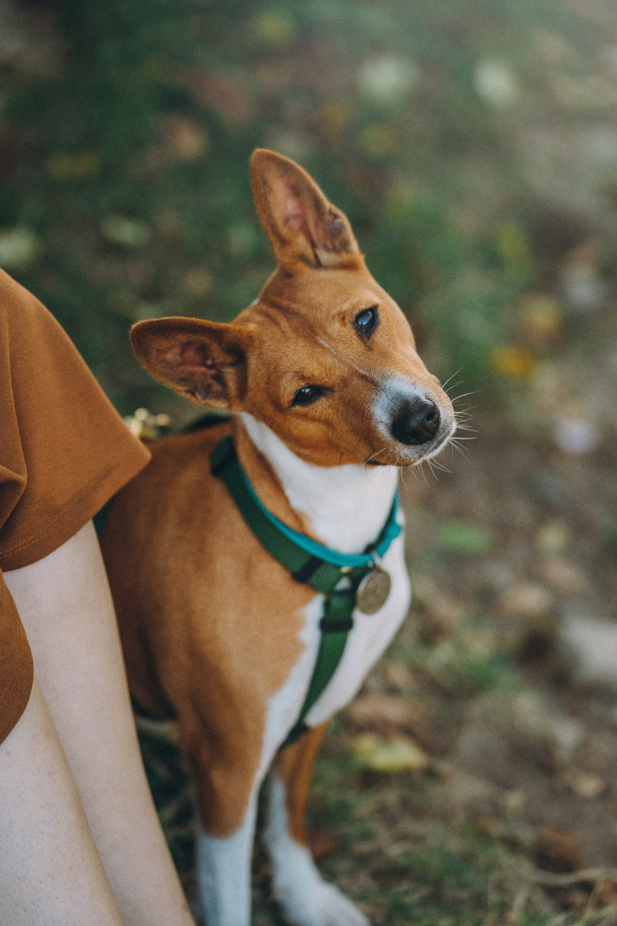Арина и Рики. Фотограф анималист в Москве и Санкт-Петербурге Свиридова Анна