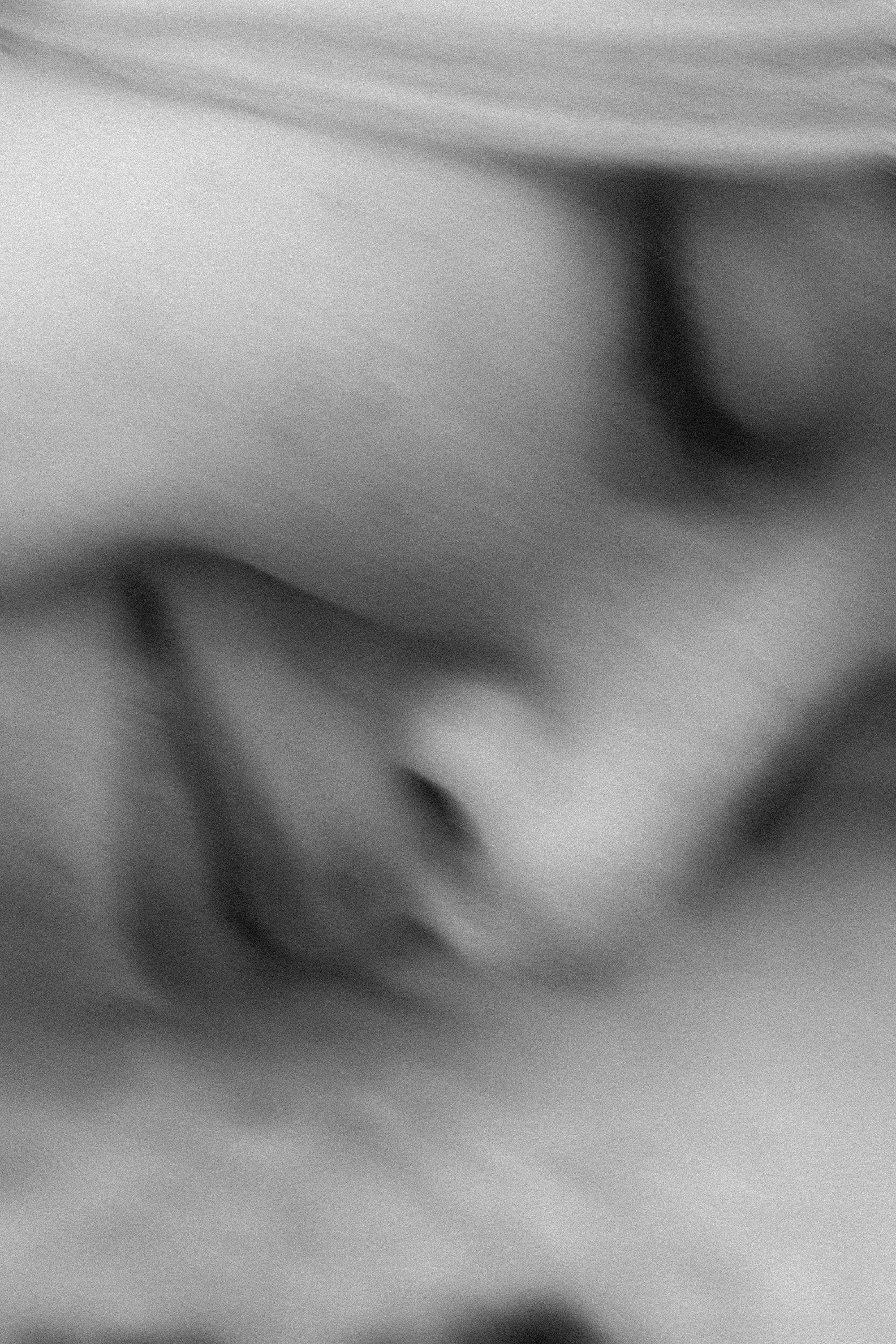 Ангелина и Варежка. Фотограф анималист в Москве и Санкт-Петербурге Свиридова Анна