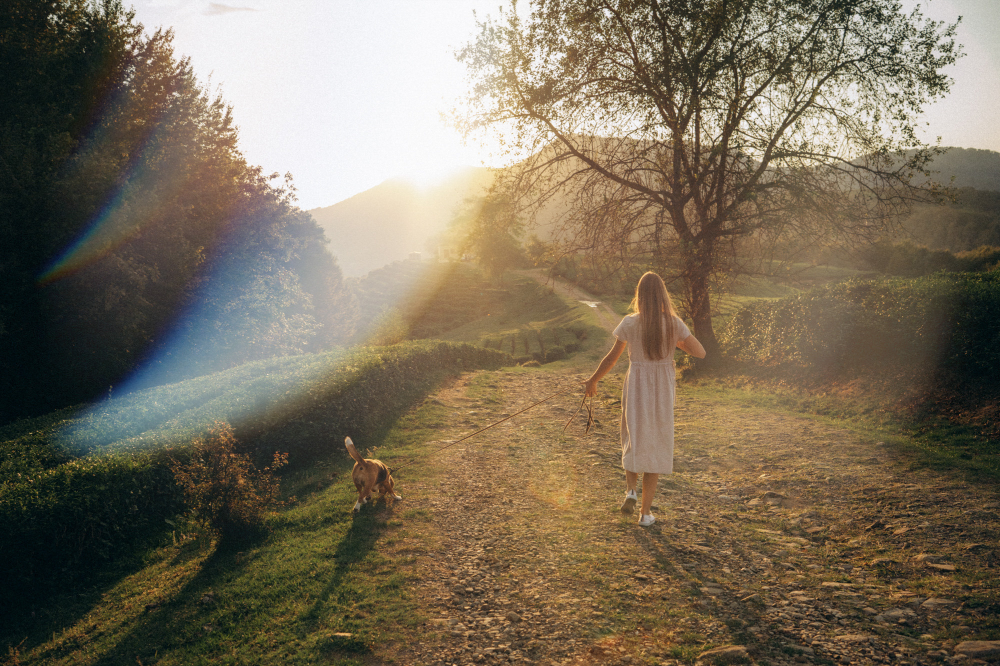 Женя и Мира. Фотограф анималист в Москве и Санкт-Петербурге Свиридова Анна
