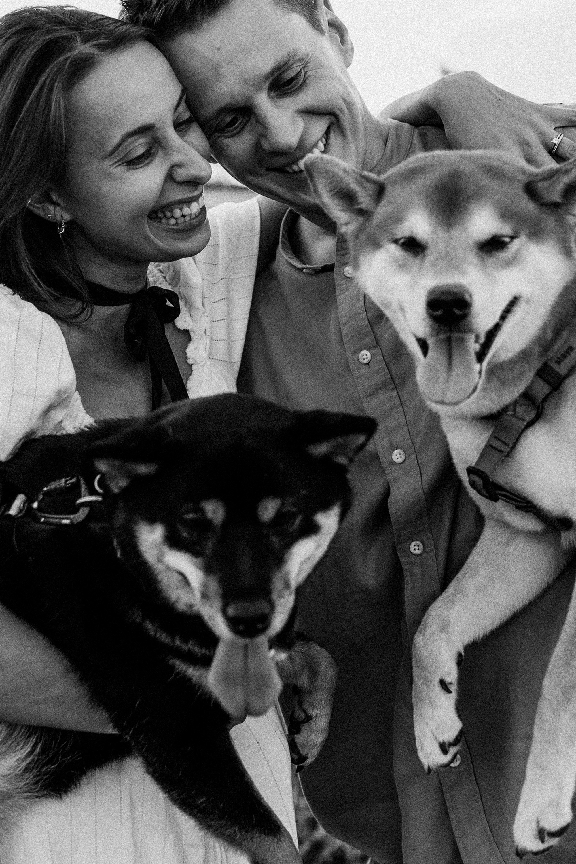 Катя, Вася, Роки и Бэлла. Фотограф анималист в Москве и Санкт-Петербурге Свиридова Анна