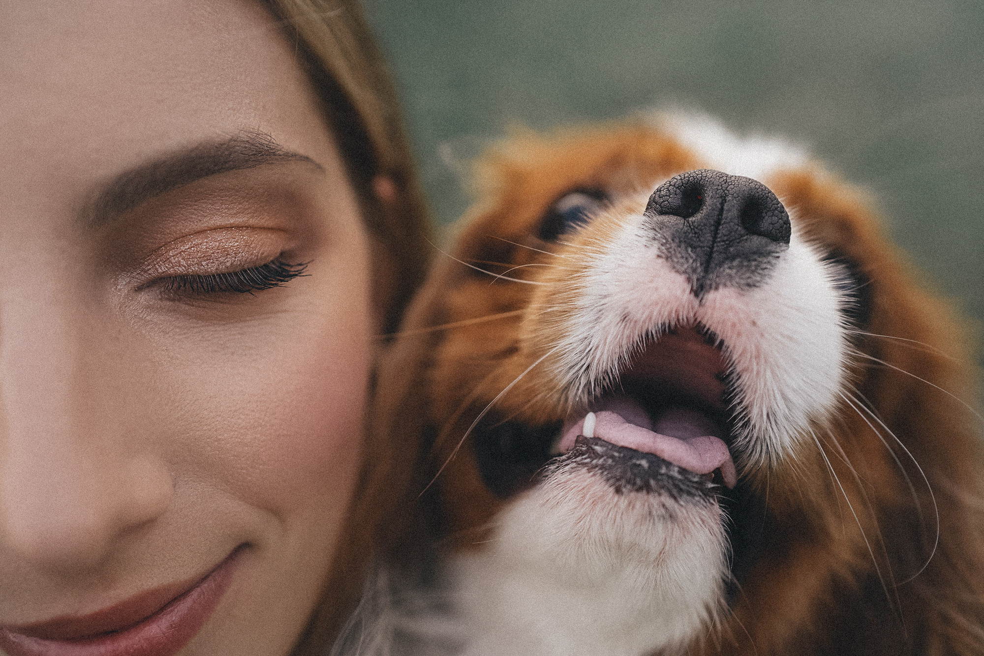 Таня и Лео. Фотограф анималист в Москве и Санкт-Петербурге Свиридова Анна