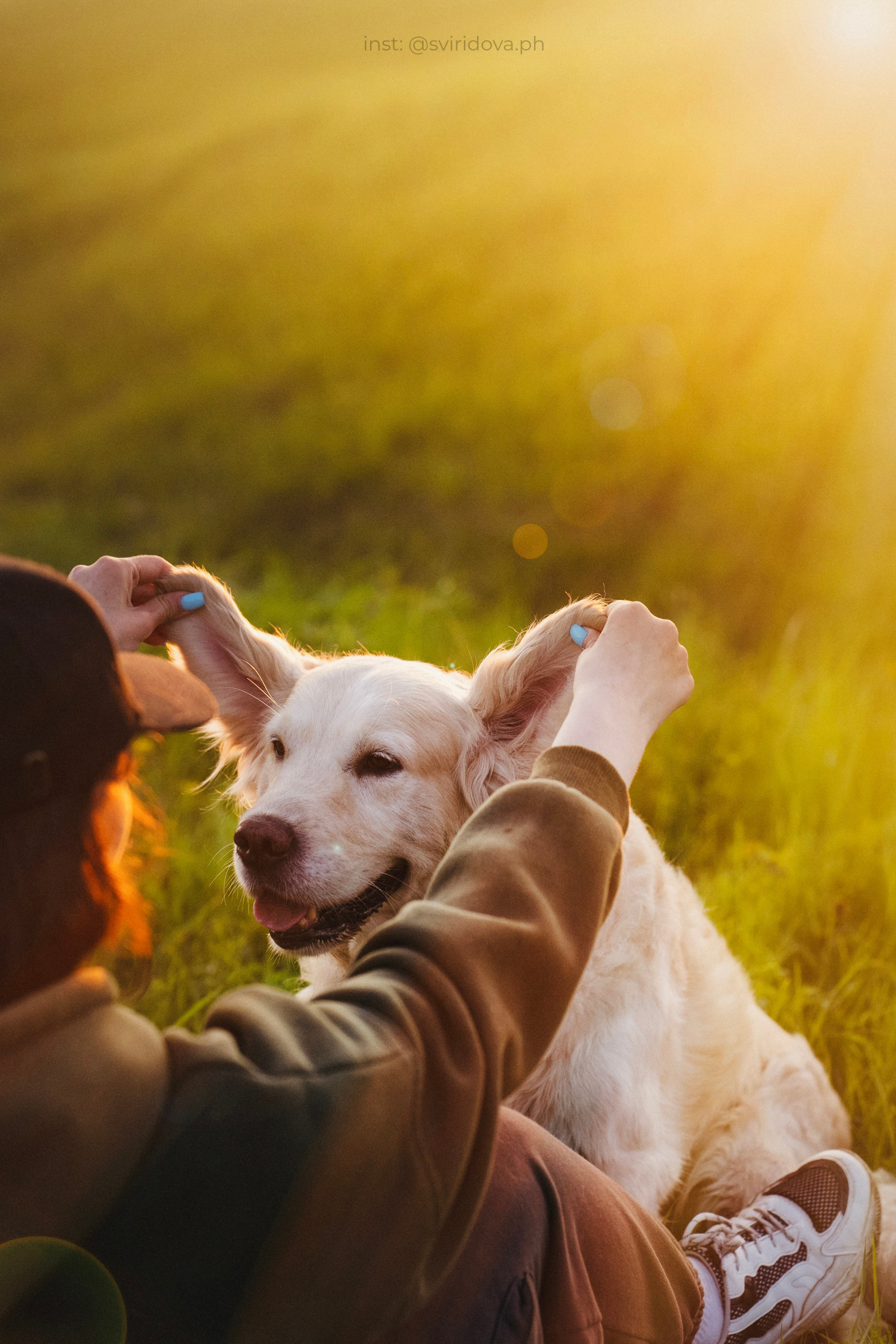 Настя и Арчи. Фотограф анималист в Москве и Санкт-Петербурге Свиридова Анна