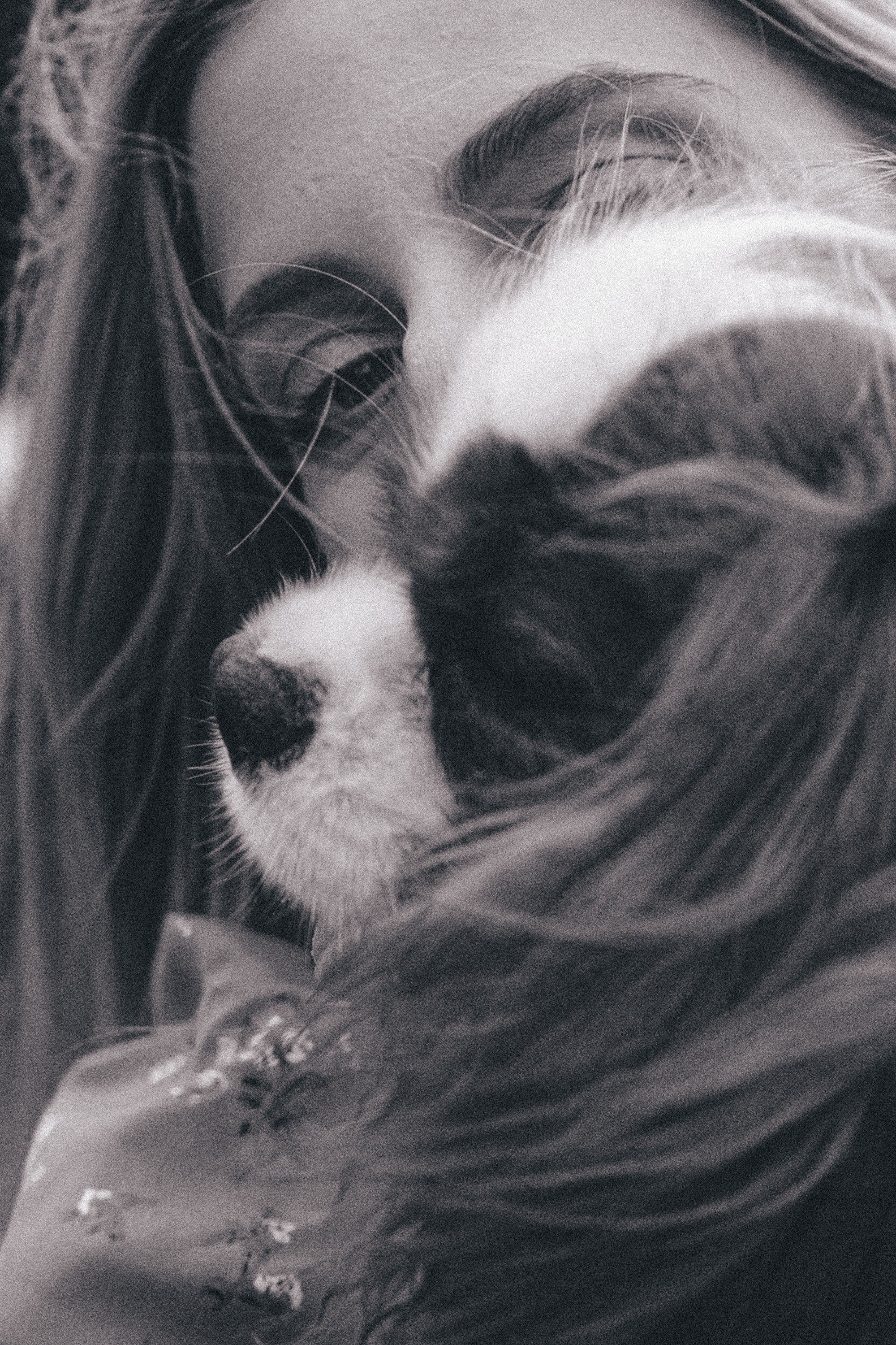 Таня и Лео. Фотограф анималист в Москве и Санкт-Петербурге Свиридова Анна