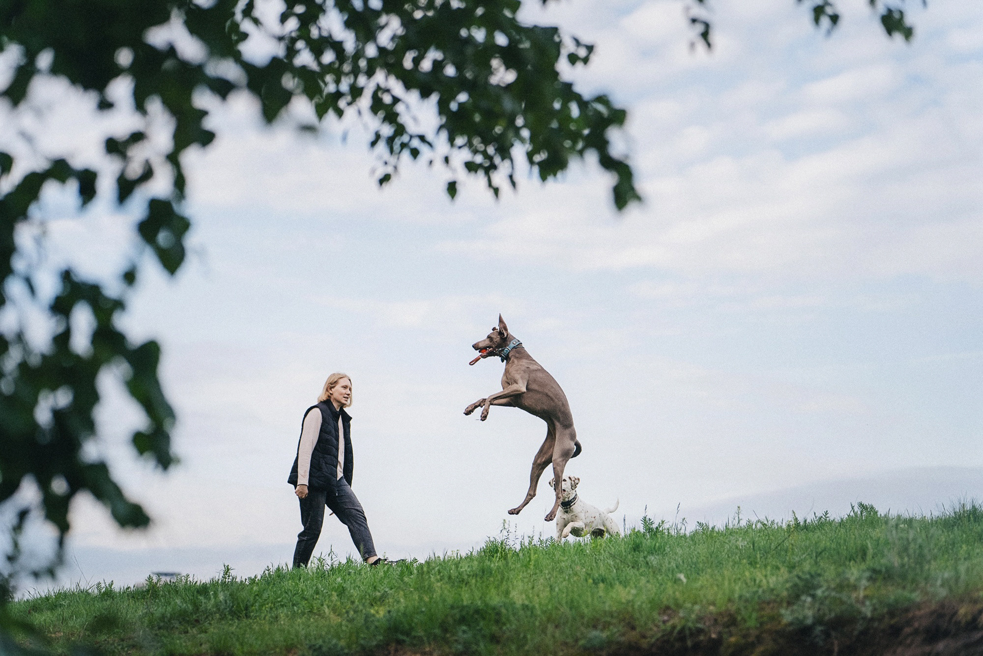 Полина, Борис, Луна и Эль. Фотограф анималист в Москве и Санкт-Петербурге Свиридова Анна