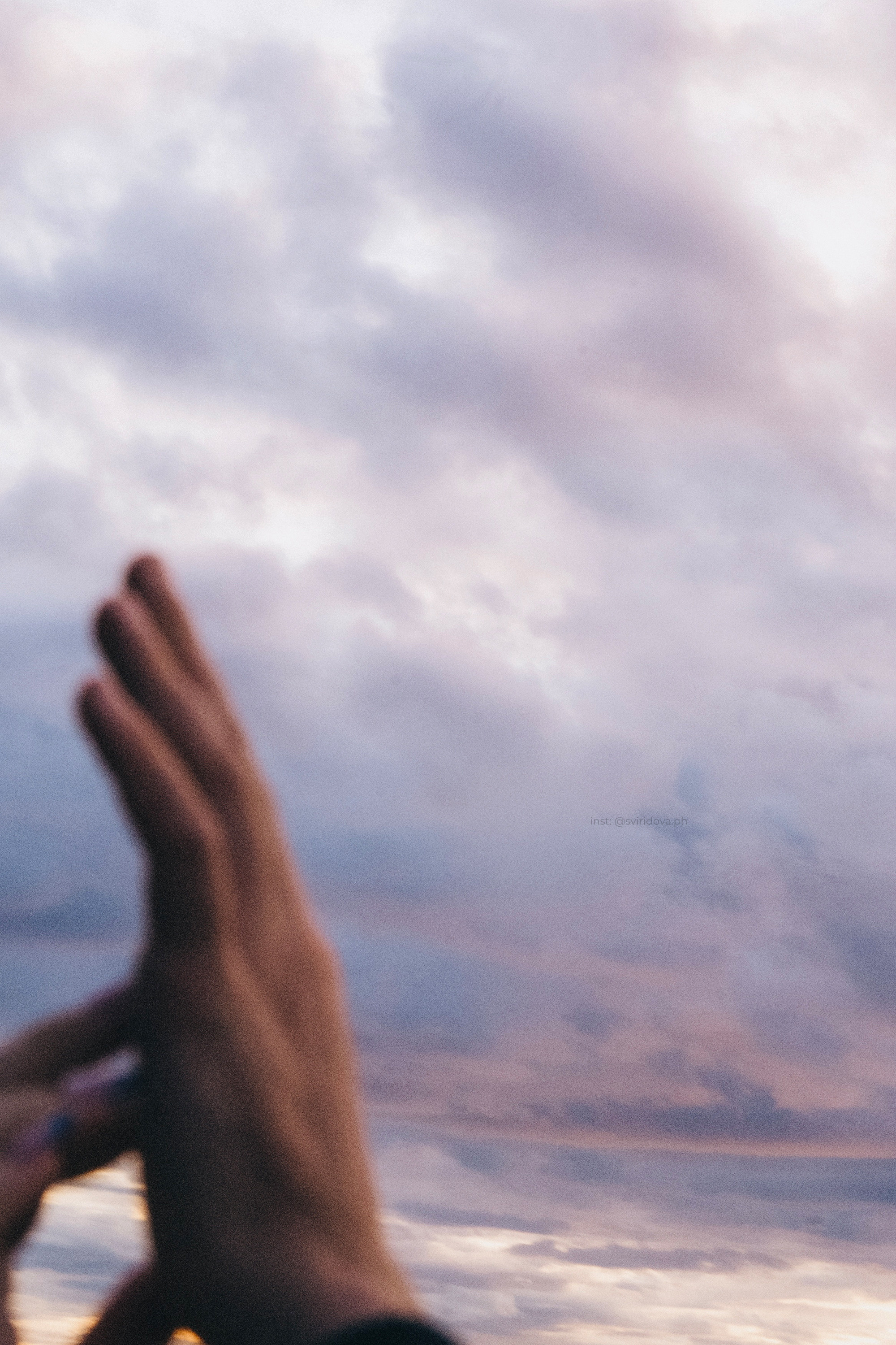 Катя, Илья, Лагерта. Фотограф анималист в Москве и Санкт-Петербурге Свиридова Анна