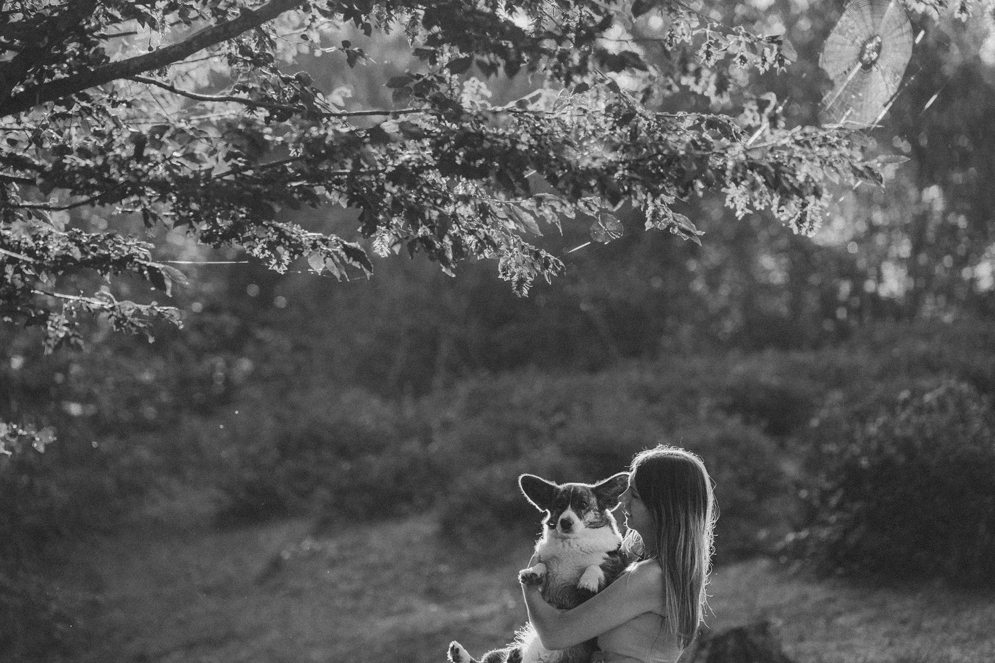 Влада и Коржики. Фотограф анималист в Москве и Санкт-Петербурге Свиридова Анна