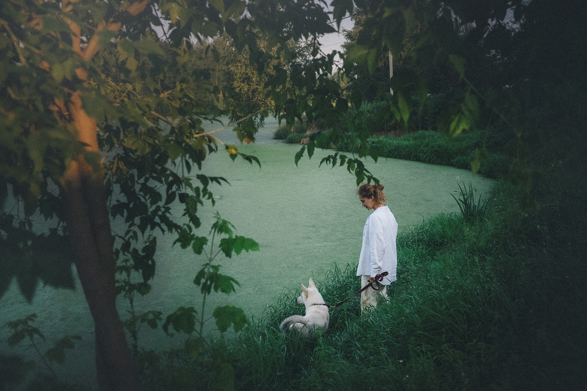 Лиза и Юста. Фотограф анималист в Москве и Санкт-Петербурге Свиридова Анна