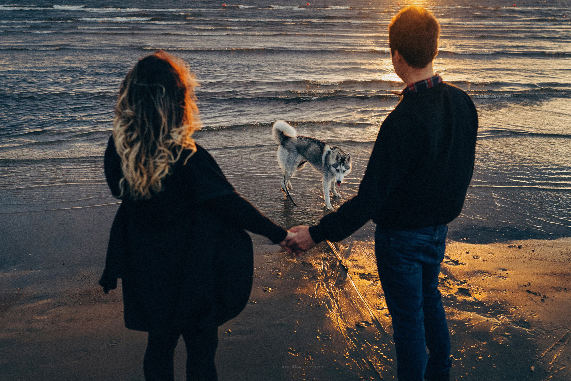 Катя, Илья, Лагерта. Фотограф анималист в Москве и Санкт-Петербурге Свиридова Анна