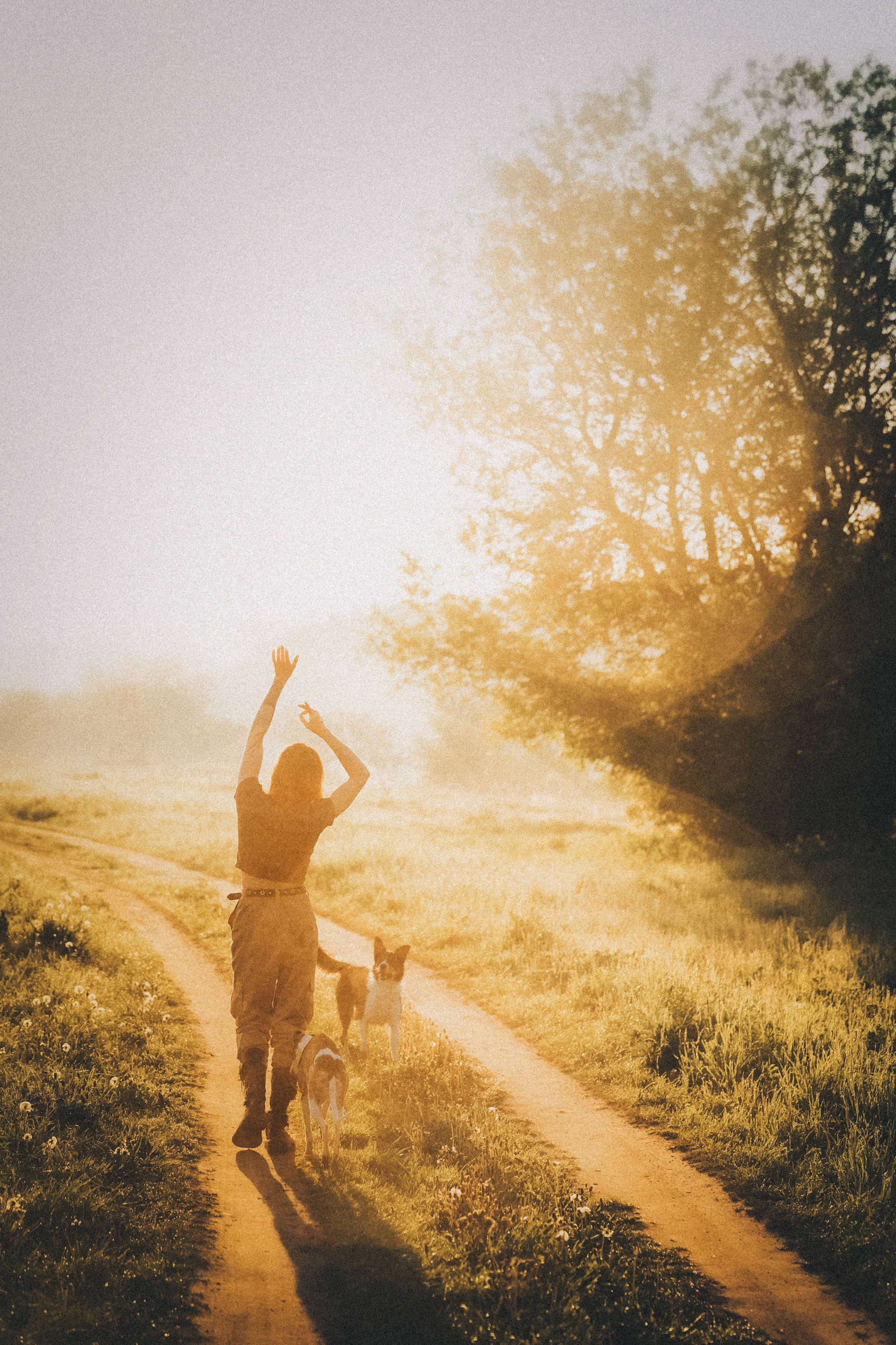 Софа, Уна и Лють. Фотограф анималист в Москве и Санкт-Петербурге Свиридова Анна