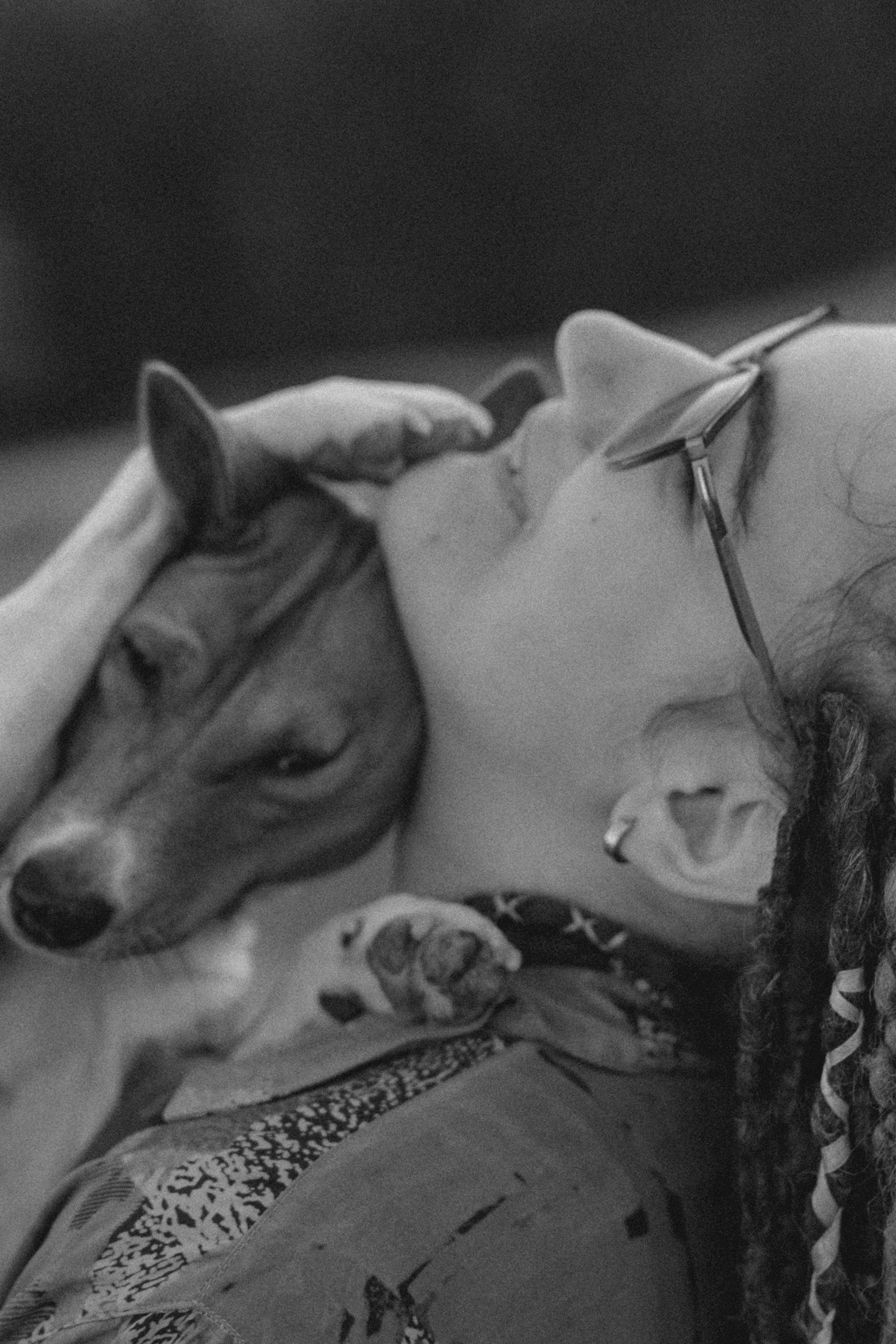 Арина и Рики. Фотограф анималист в Москве и Санкт-Петербурге Свиридова Анна