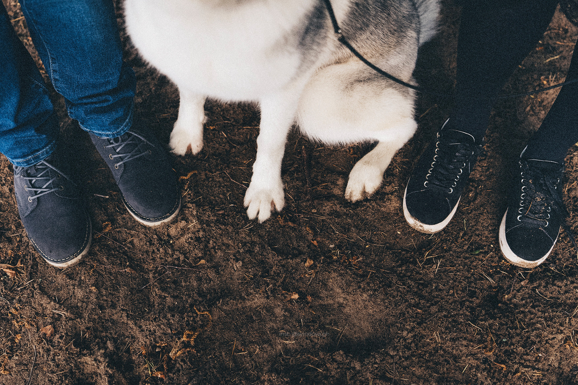 Катя, Илья, Лагерта. Фотограф анималист в Москве и Санкт-Петербурге Свиридова Анна