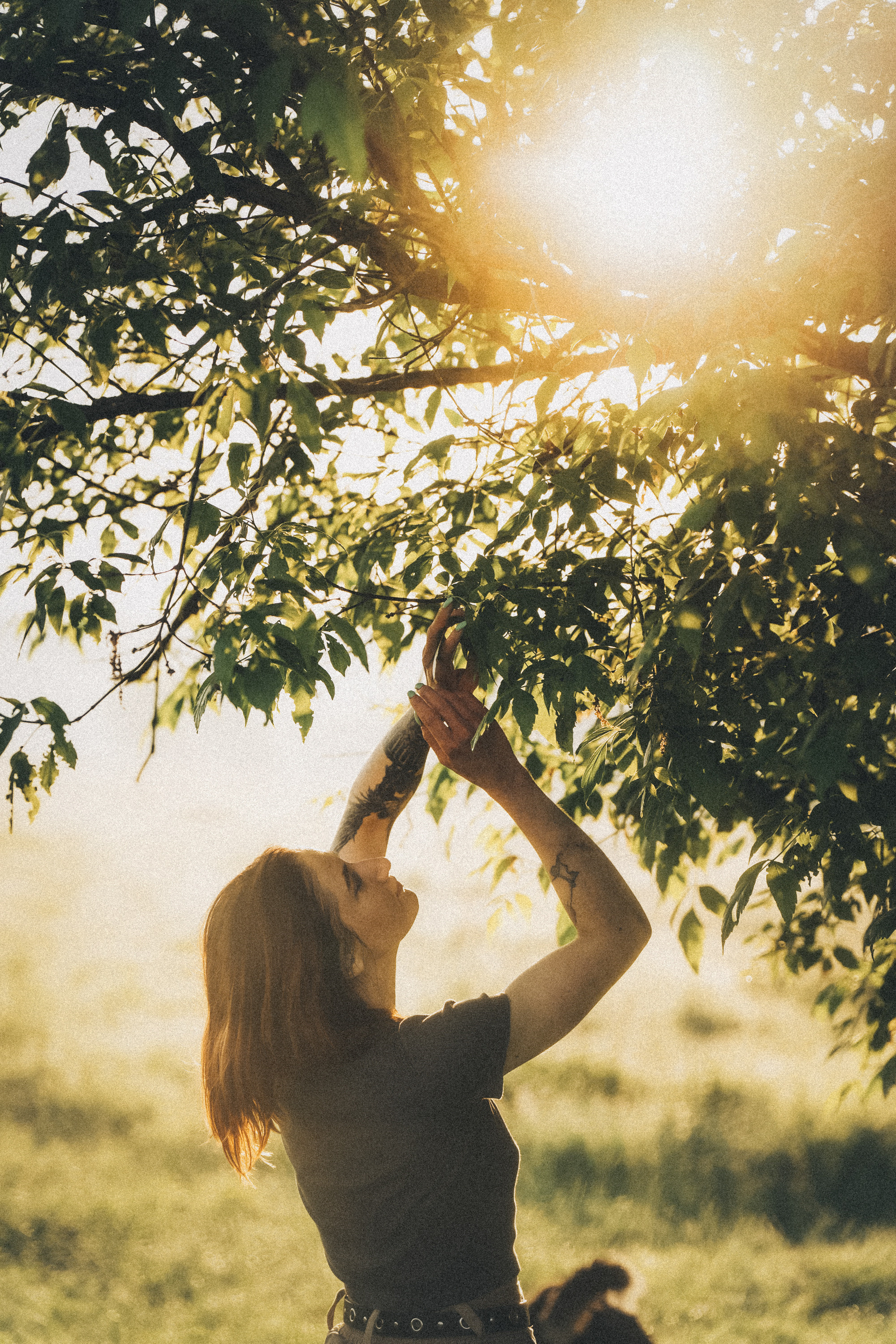 Софа, Уна и Лють. Фотограф анималист в Москве и Санкт-Петербурге Свиридова Анна