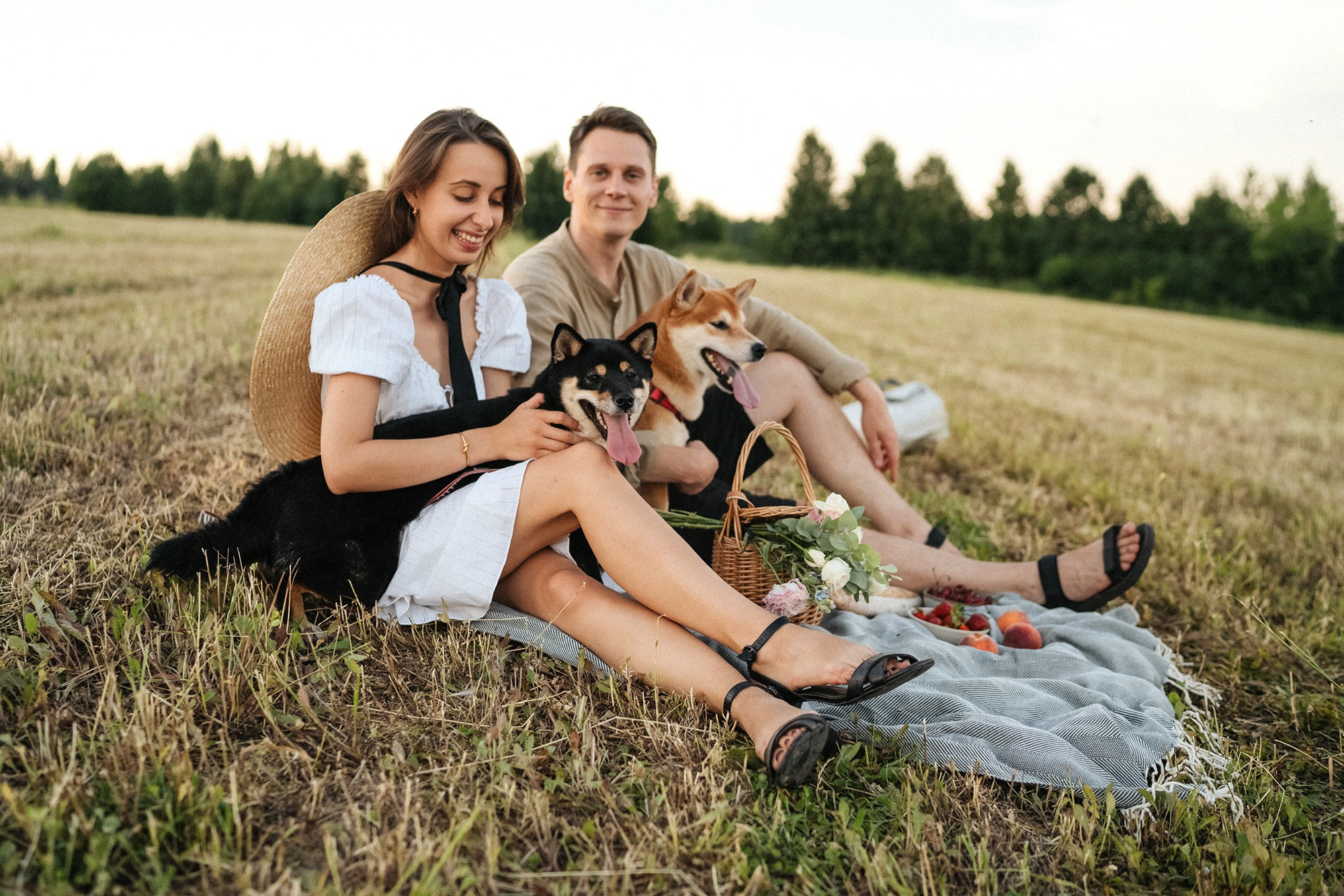 Катя, Вася, Роки и Бэлла. Фотограф анималист в Москве и Санкт-Петербурге Свиридова Анна