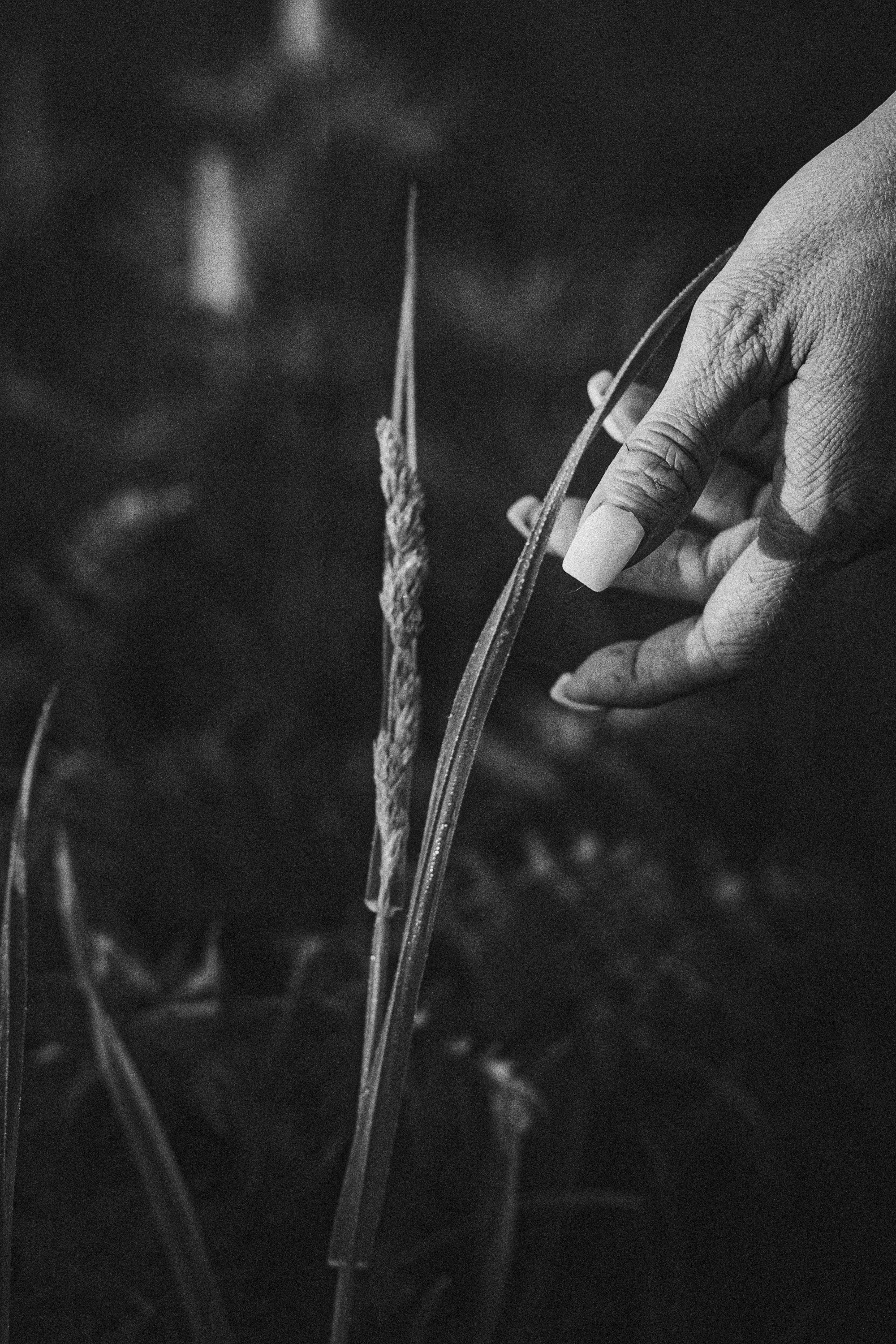 Софа, Уна и Лють. Фотограф анималист в Москве и Санкт-Петербурге Свиридова Анна