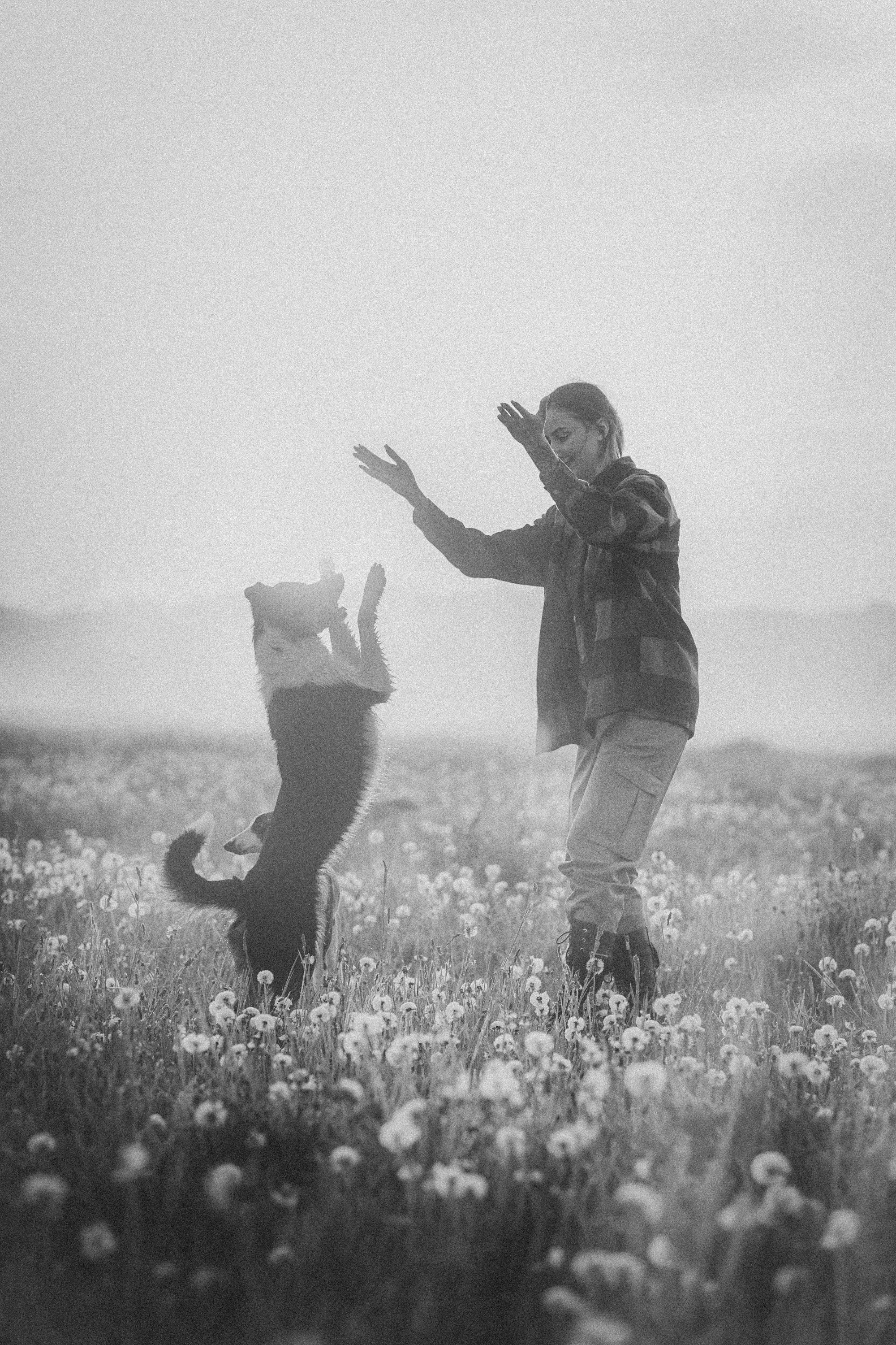 Софа, Уна и Лють. Фотограф анималист в Москве и Санкт-Петербурге Свиридова Анна