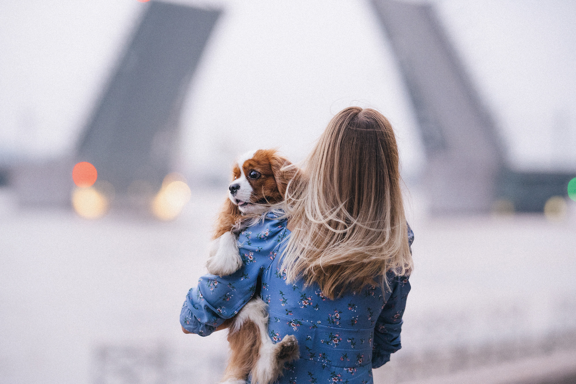Таня и Лео. Фотограф анималист в Москве и Санкт-Петербурге Свиридова Анна