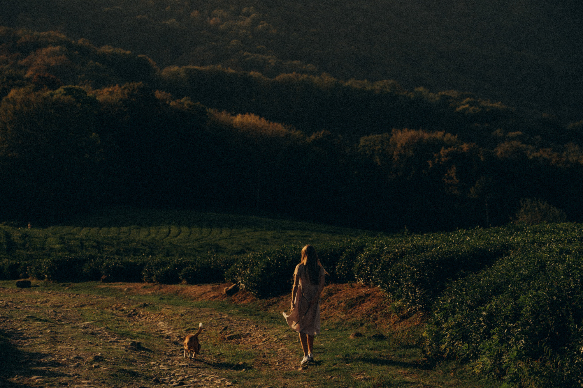 Женя и Мира. Фотограф анималист в Москве и Санкт-Петербурге Свиридова Анна