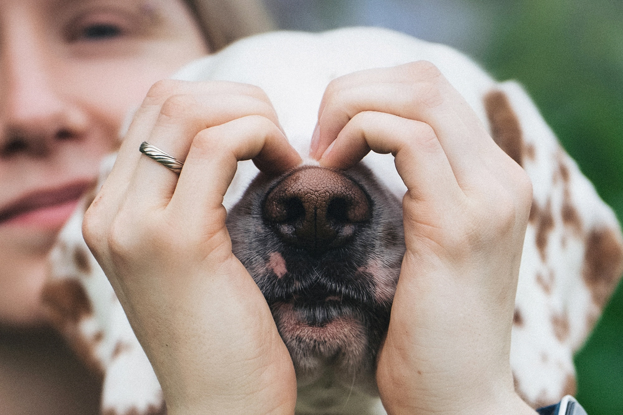 Полина, Борис, Луна и Эль. Фотограф анималист в Москве и Санкт-Петербурге Свиридова Анна