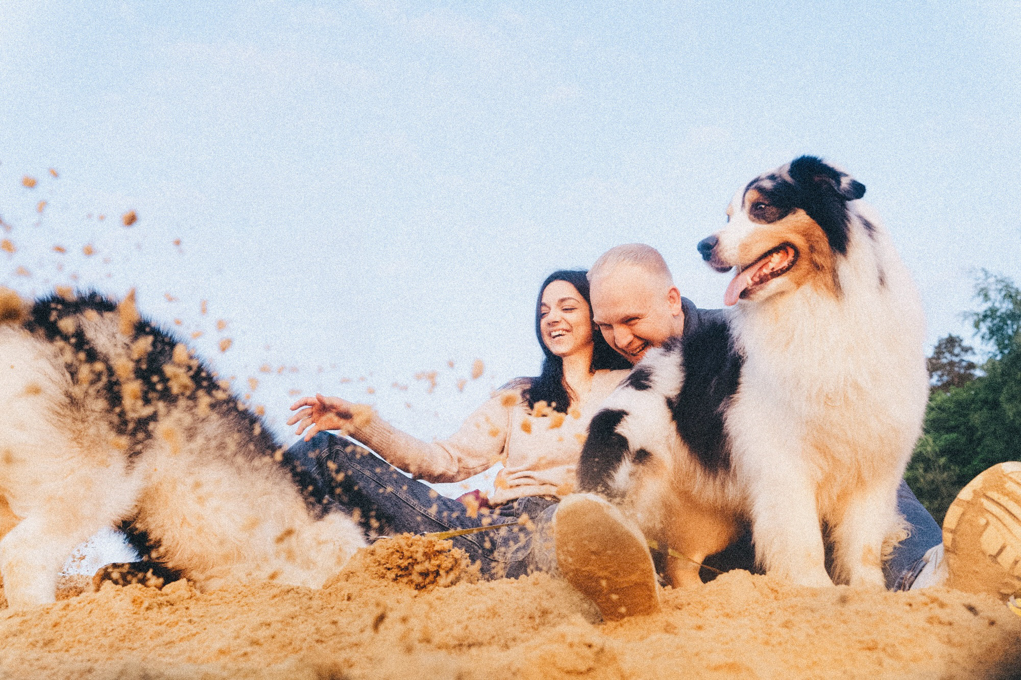Аня, Игорь, Аусь и Хась. Фотограф анималист в Москве и Санкт-Петербурге Свиридова Анна
