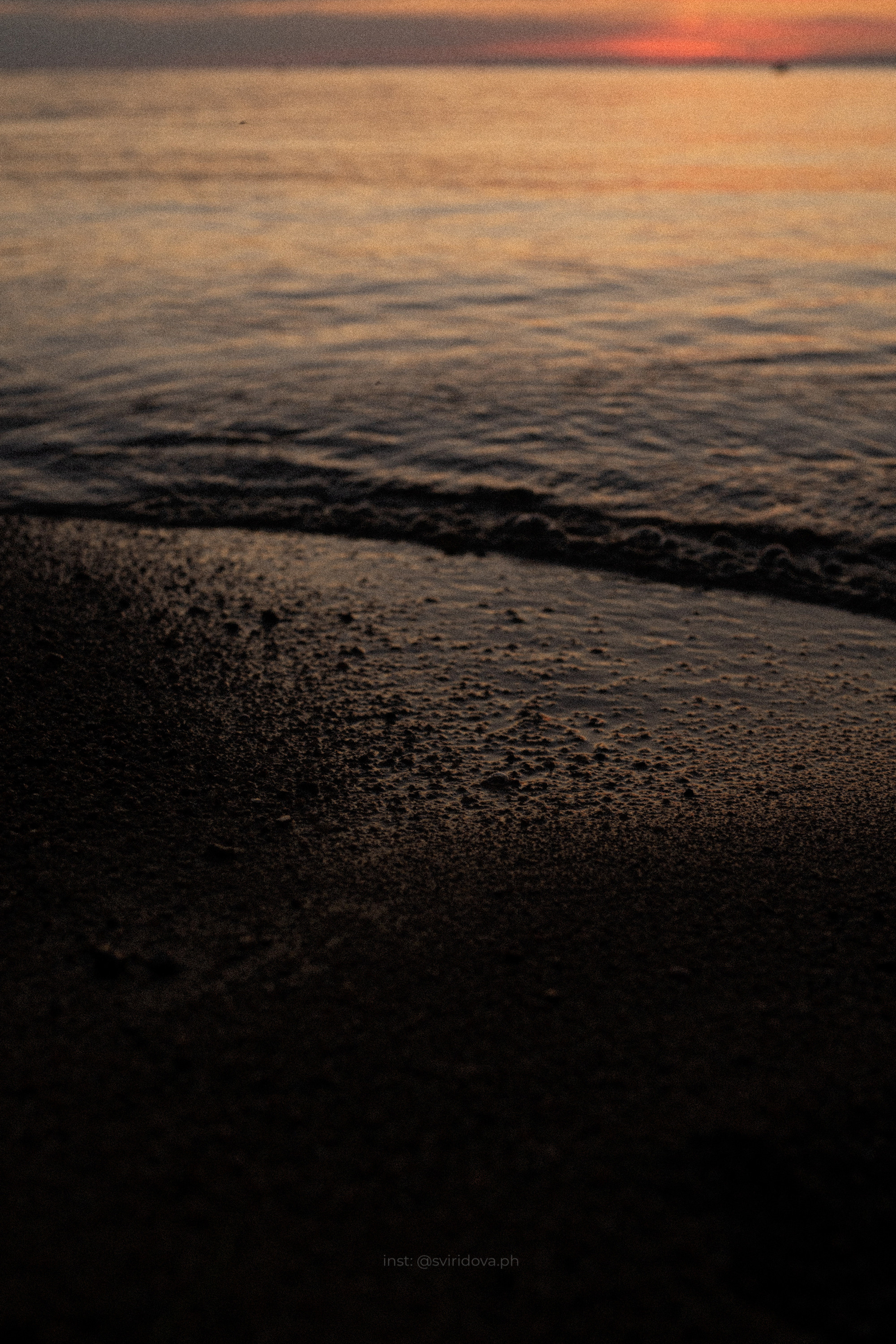 Даша, Сергей и Френки. Фотограф анималист в Москве и Санкт-Петербурге Свиридова Анна