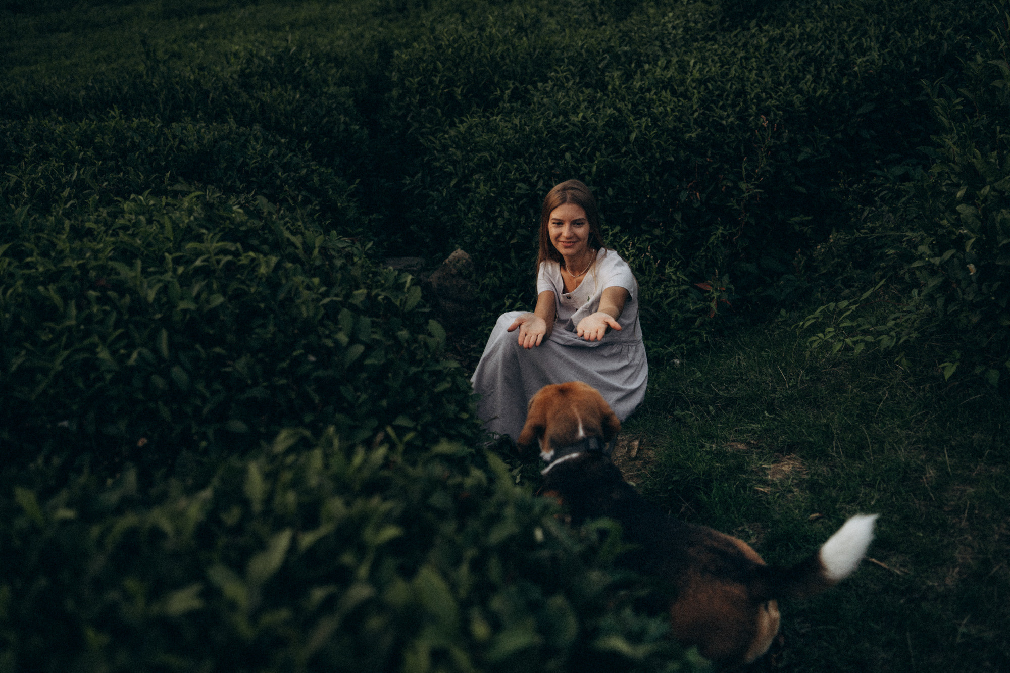 Женя и Мира. Фотограф анималист в Москве и Санкт-Петербурге Свиридова Анна