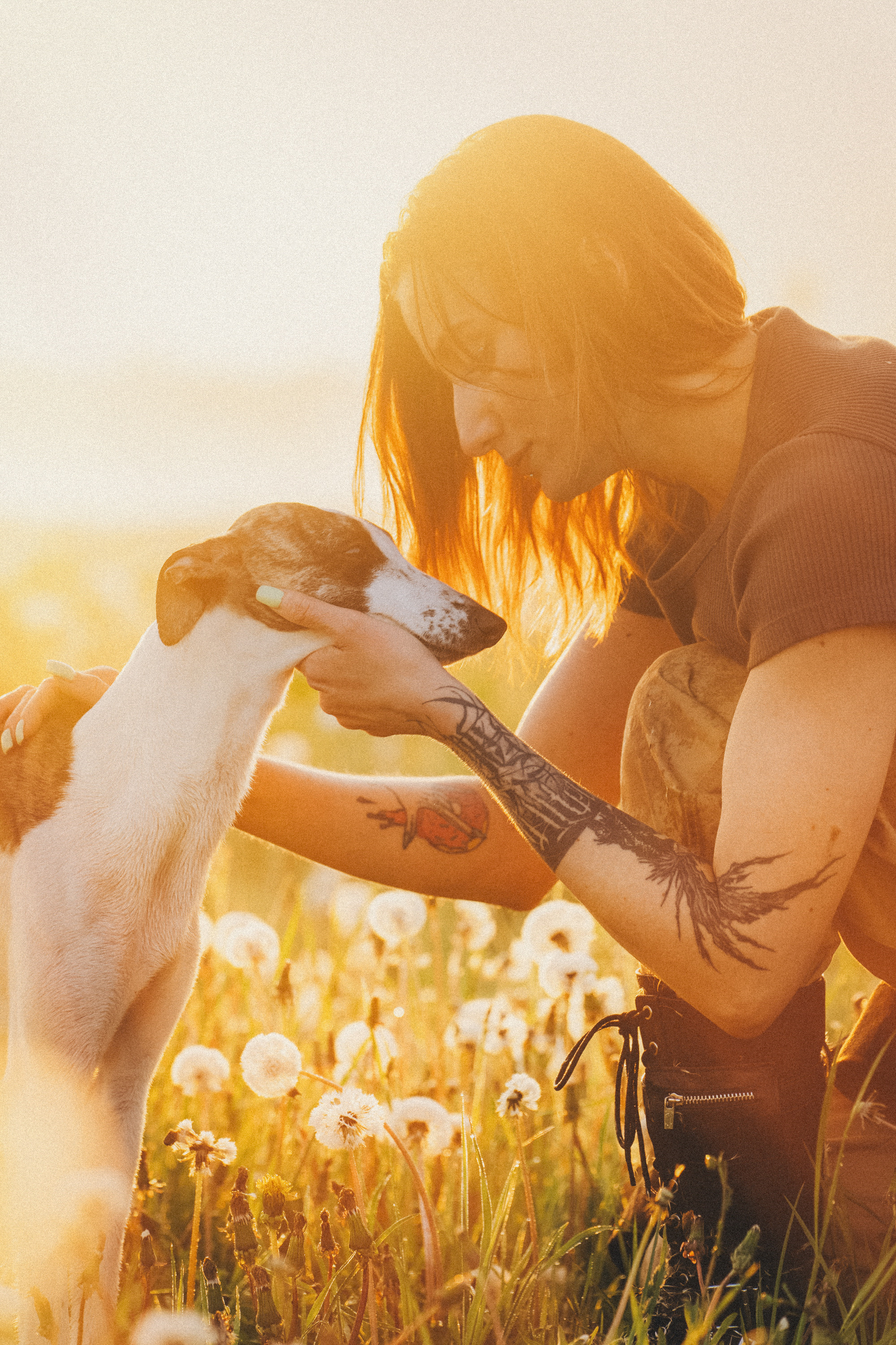 Софа, Уна и Лють. Фотограф анималист в Москве и Санкт-Петербурге Свиридова Анна