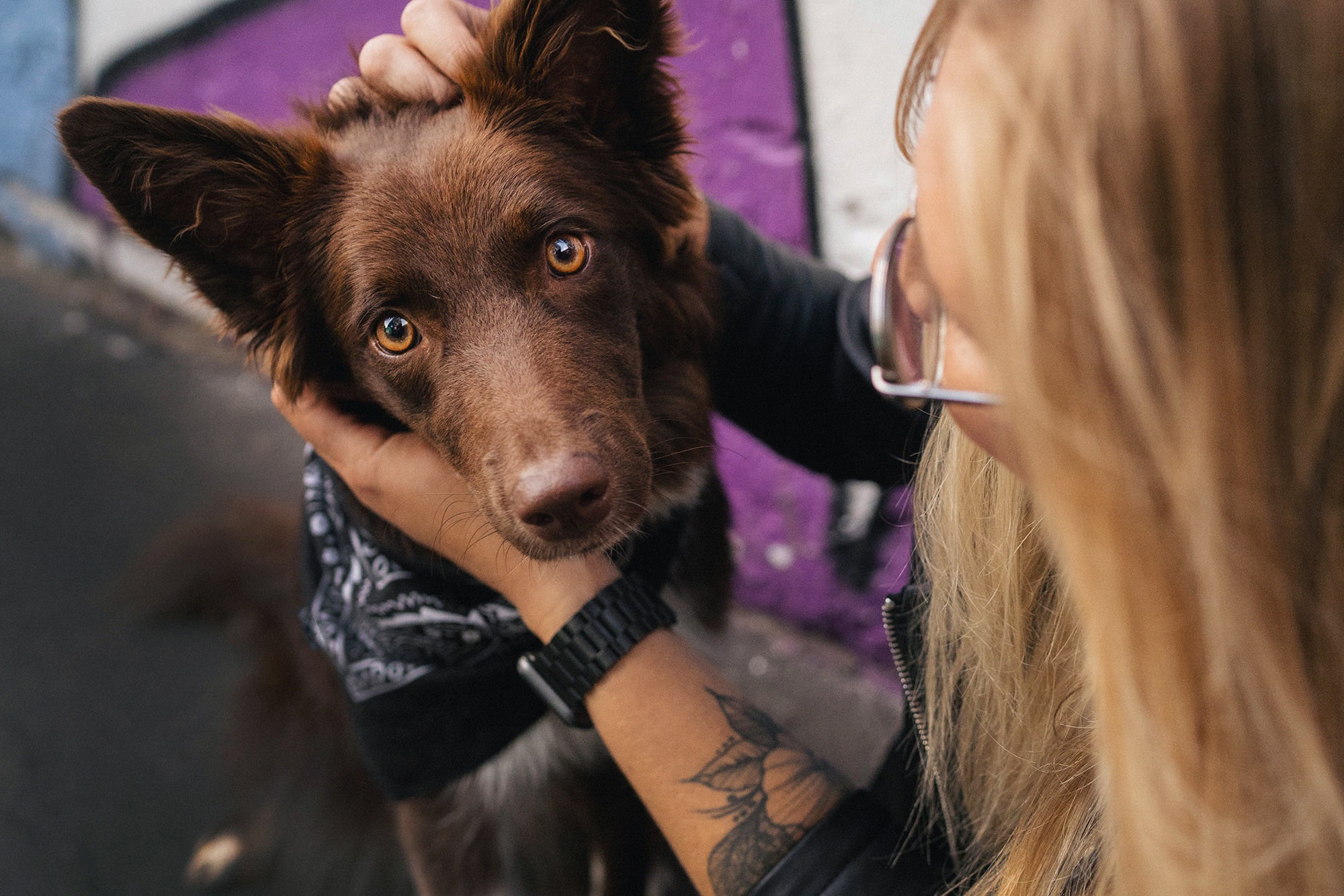 Аня и Брук. Фотограф анималист в Москве и Санкт-Петербурге Свиридова Анна