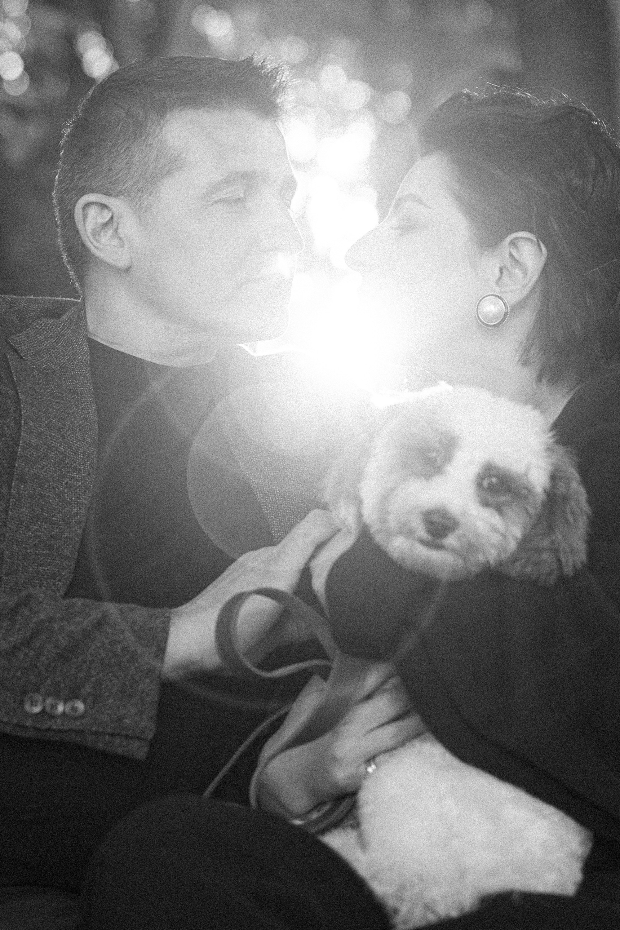 Амина, Андрей и Умка. Фотограф анималист в Москве и Санкт-Петербурге Свиридова Анна