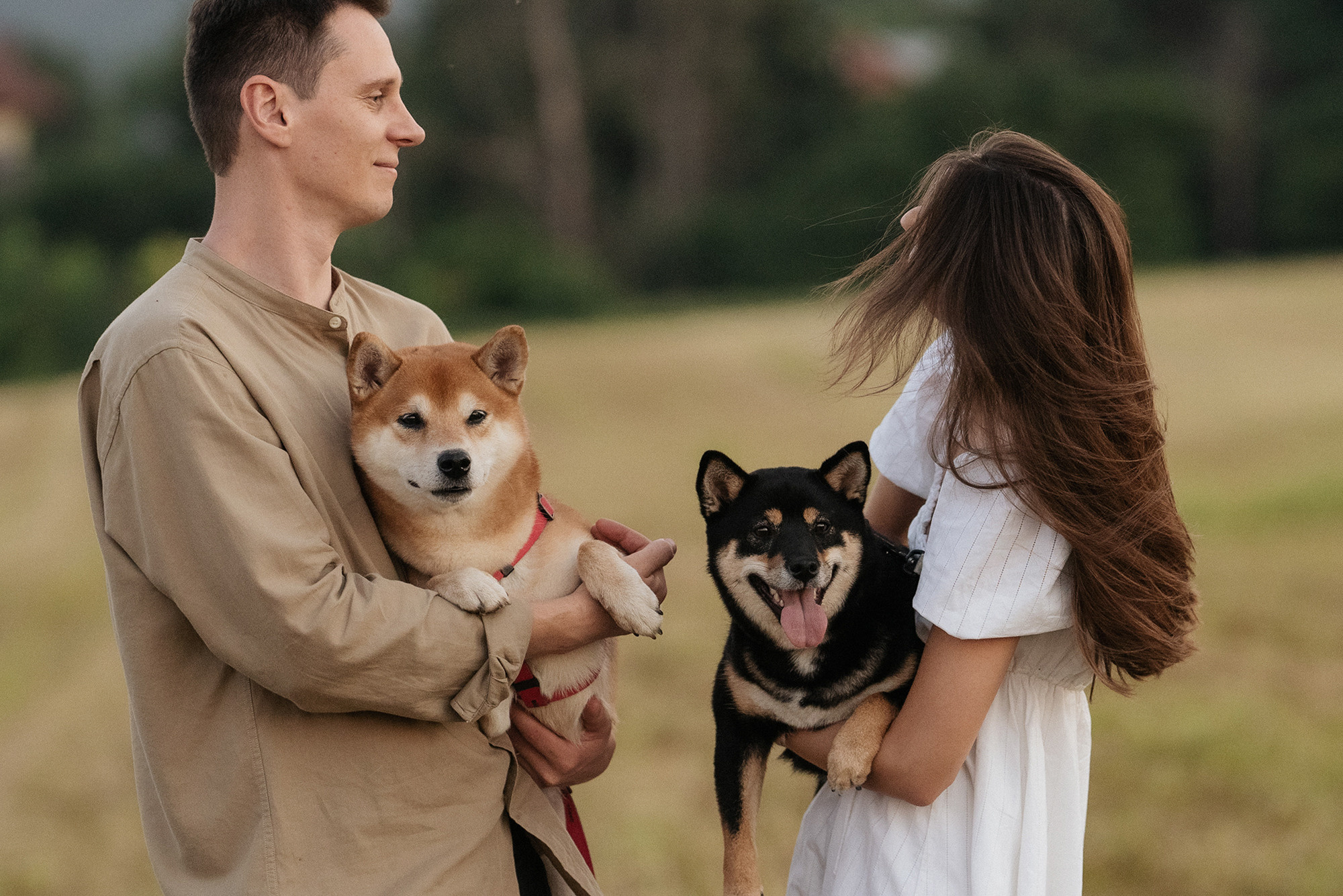 Катя, Вася, Роки и Бэлла. Фотограф анималист в Москве и Санкт-Петербурге Свиридова Анна