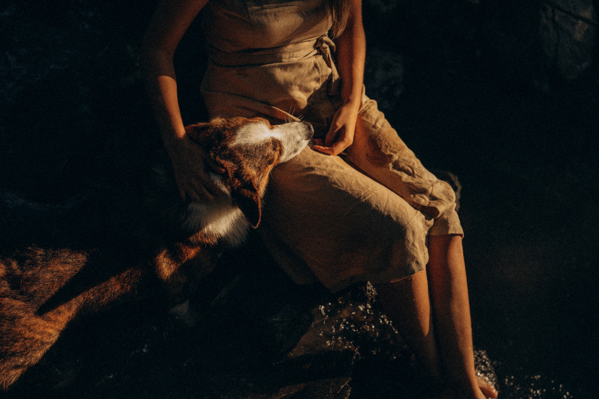 Влада и Коржики. Фотограф анималист в Москве и Санкт-Петербурге Свиридова Анна