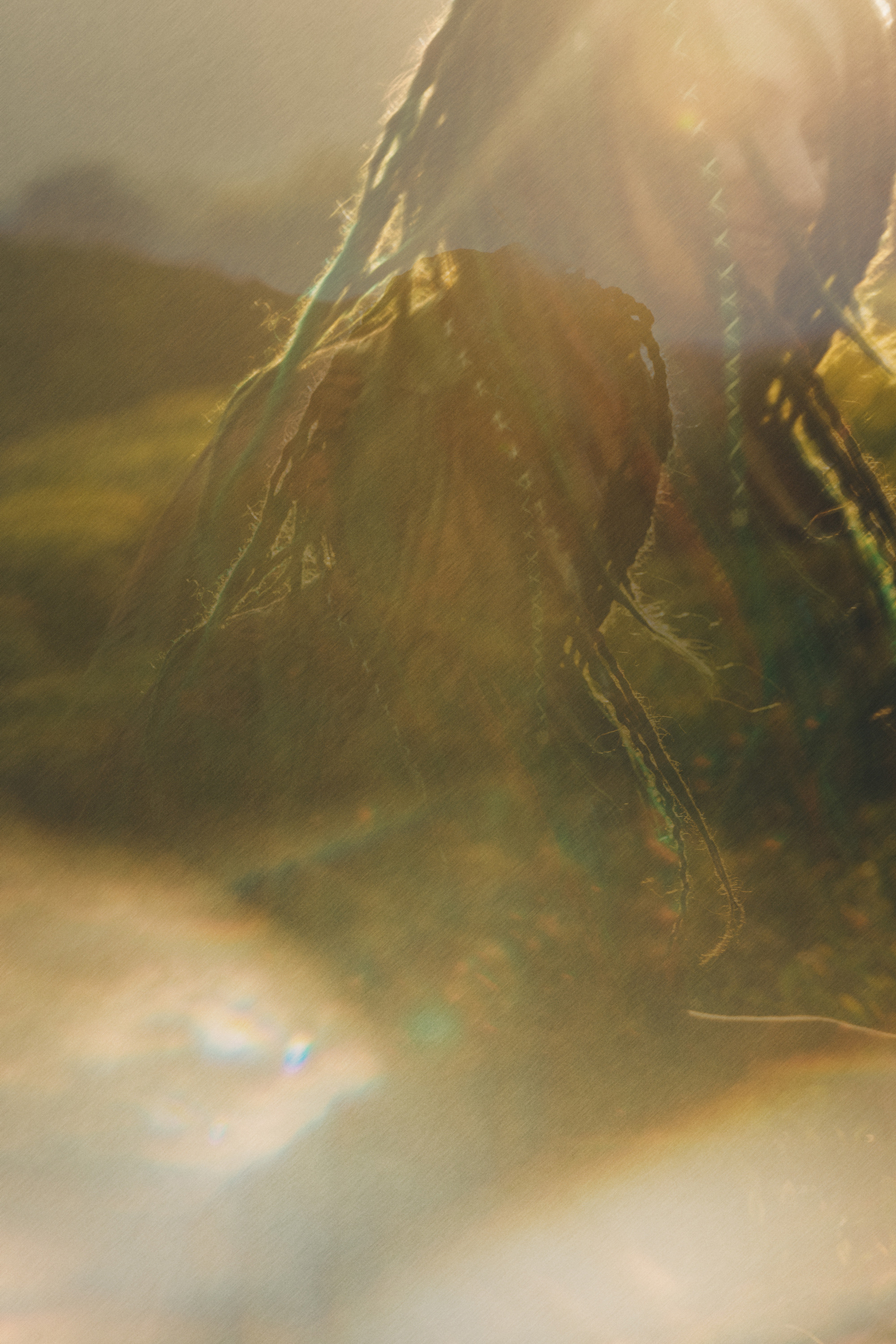 Арина и Рики. Фотограф анималист в Москве и Санкт-Петербурге Свиридова Анна