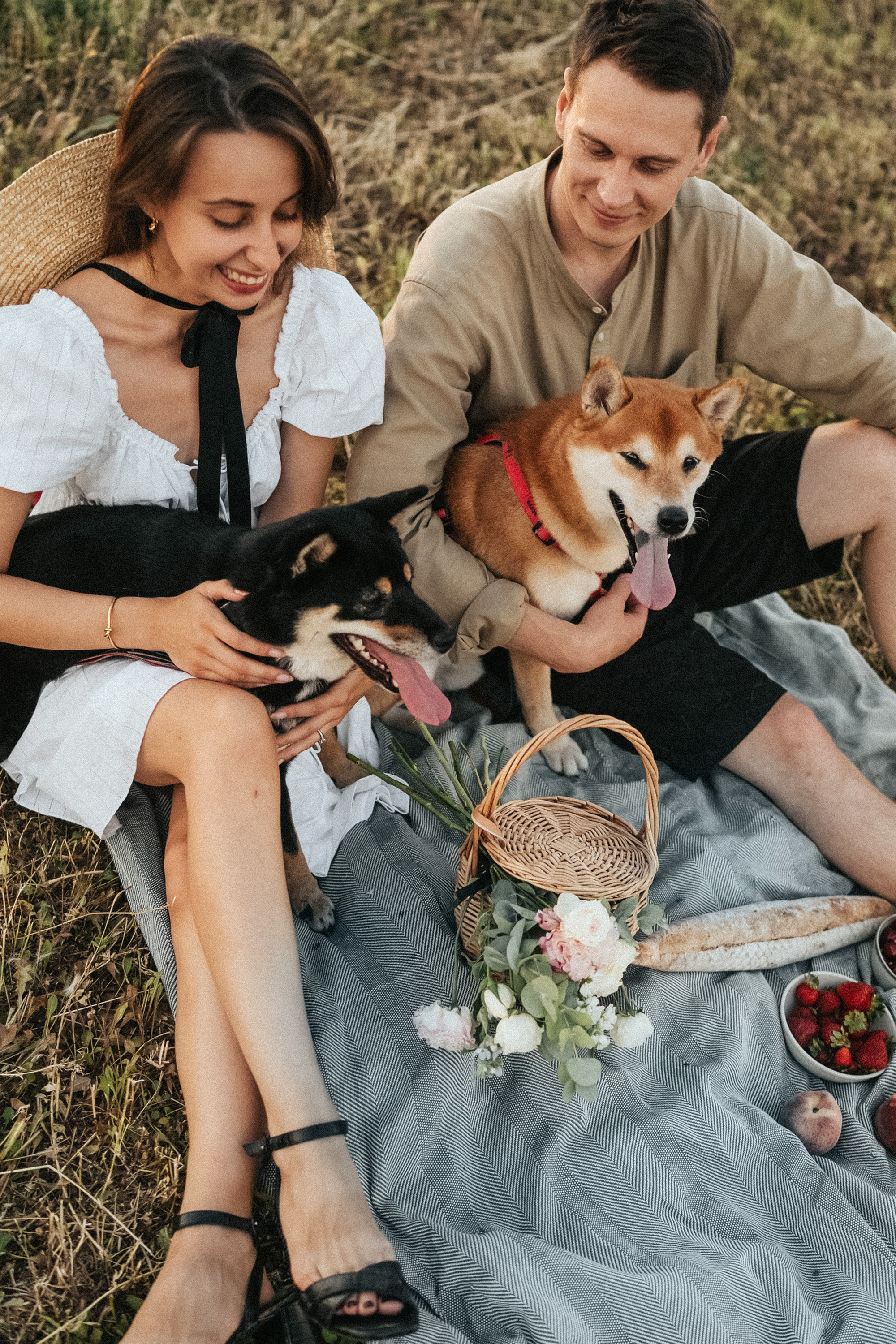 Катя, Вася, Роки и Бэлла. Фотограф анималист в Москве и Санкт-Петербурге Свиридова Анна