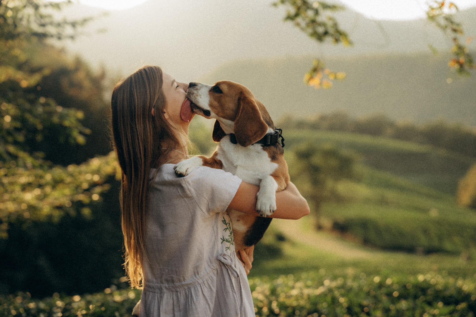 Женя и Мира. Фотограф анималист в Москве и Санкт-Петербурге Свиридова Анна