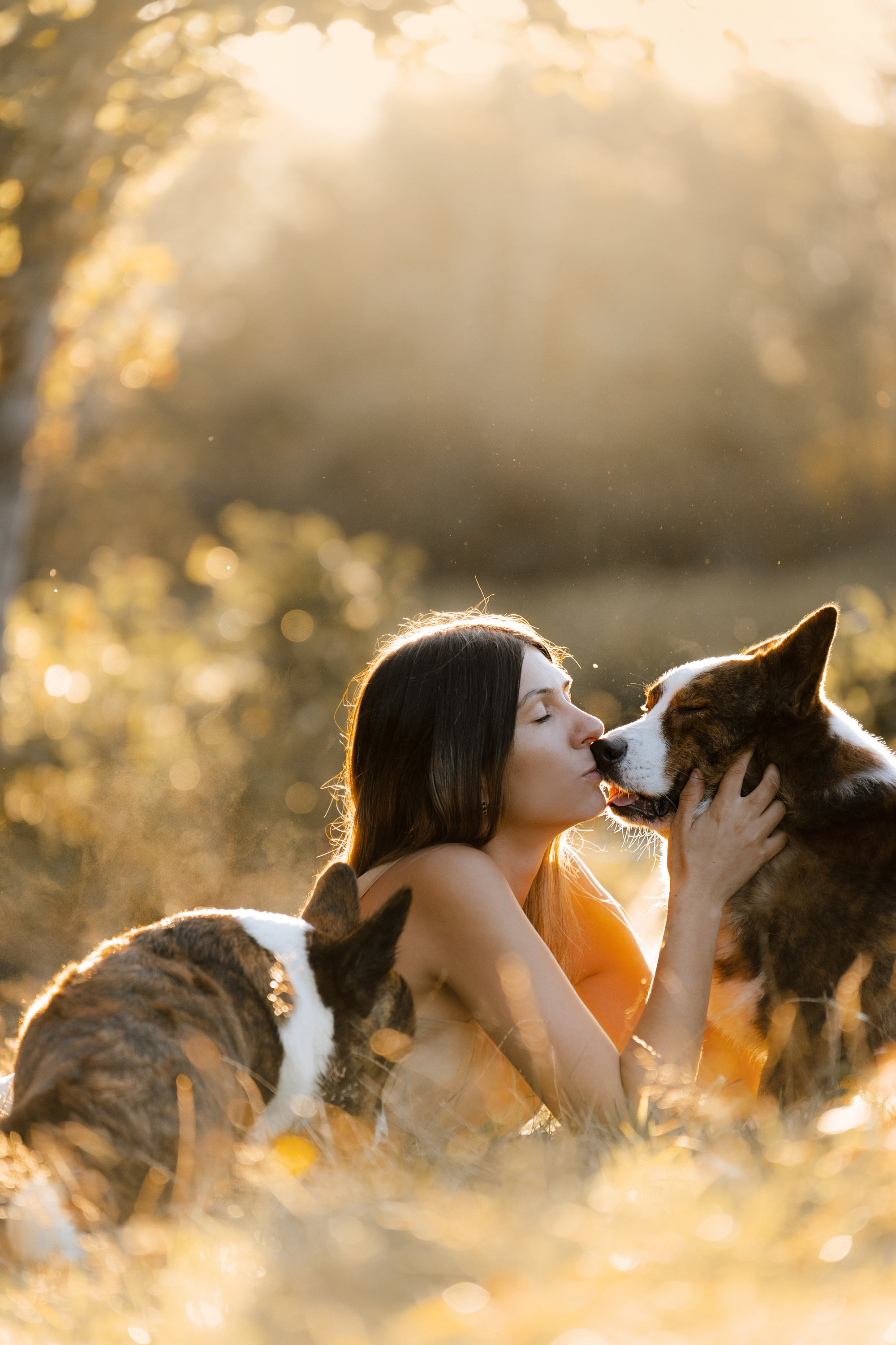 Влада и Коржики. Фотограф анималист в Москве и Санкт-Петербурге Свиридова Анна