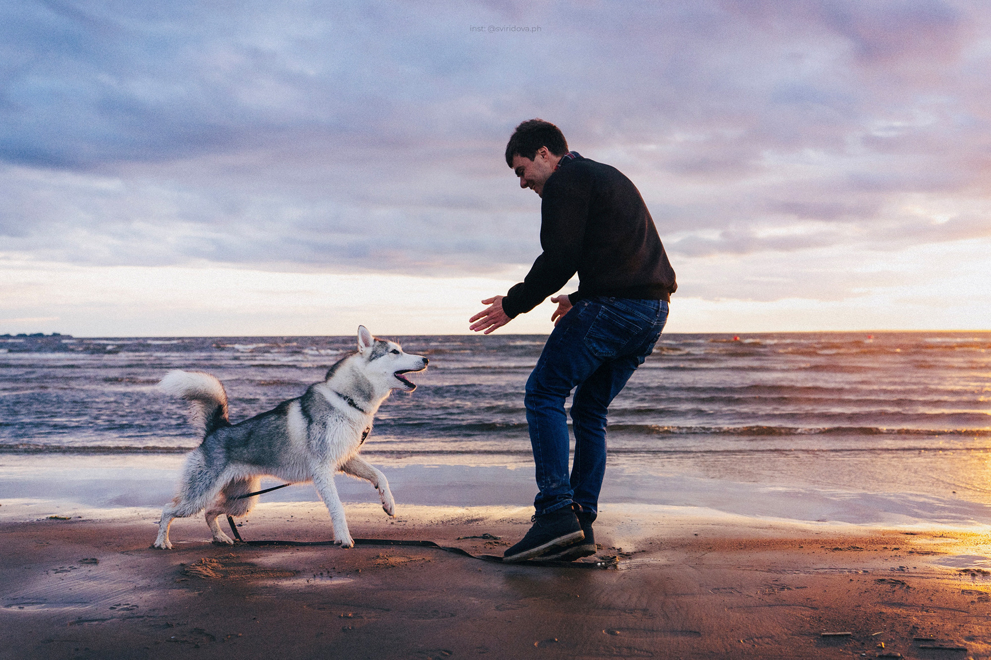 Катя, Илья, Лагерта. Фотограф анималист в Москве и Санкт-Петербурге Свиридова Анна