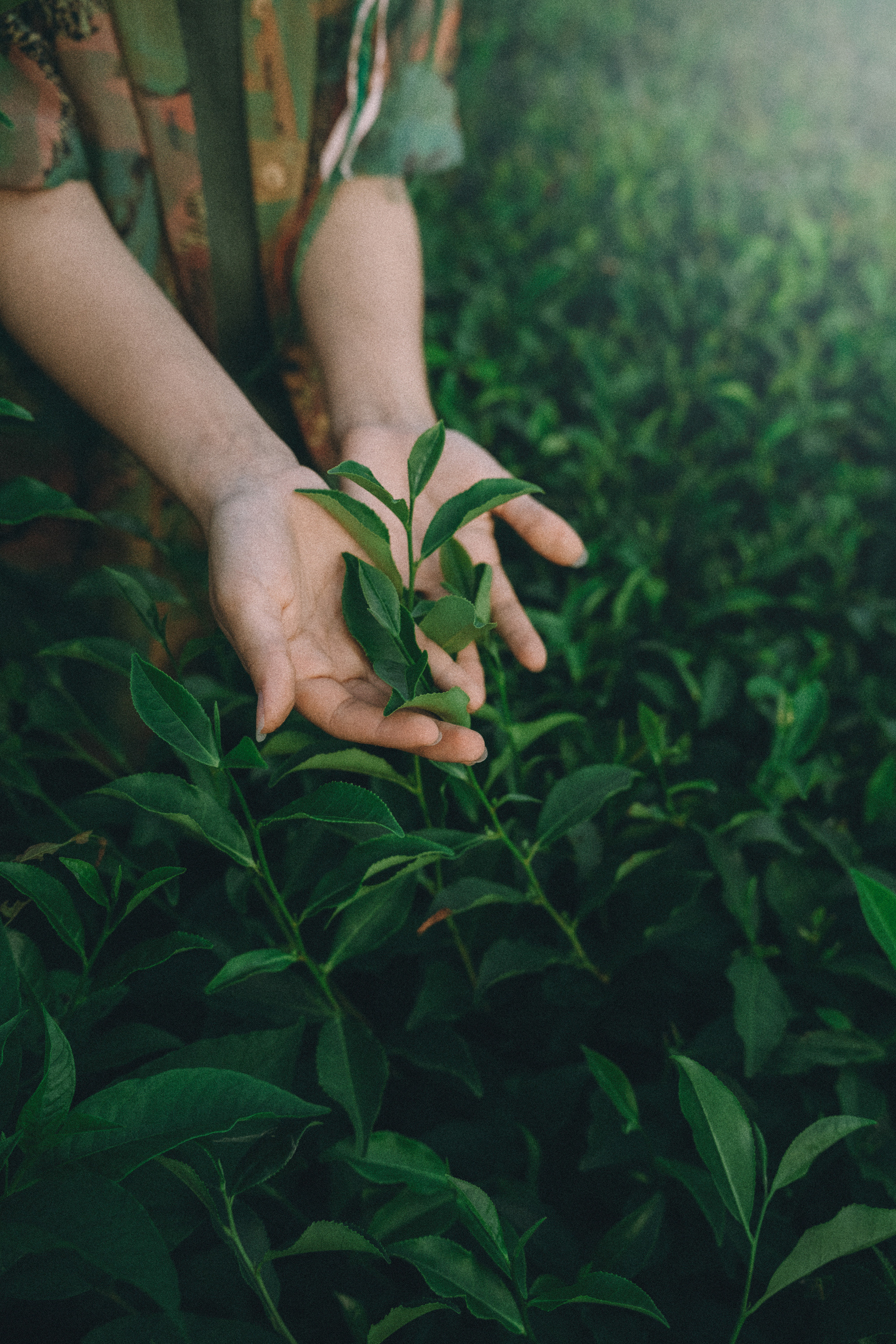 Арина и Рики. Фотограф анималист в Москве и Санкт-Петербурге Свиридова Анна