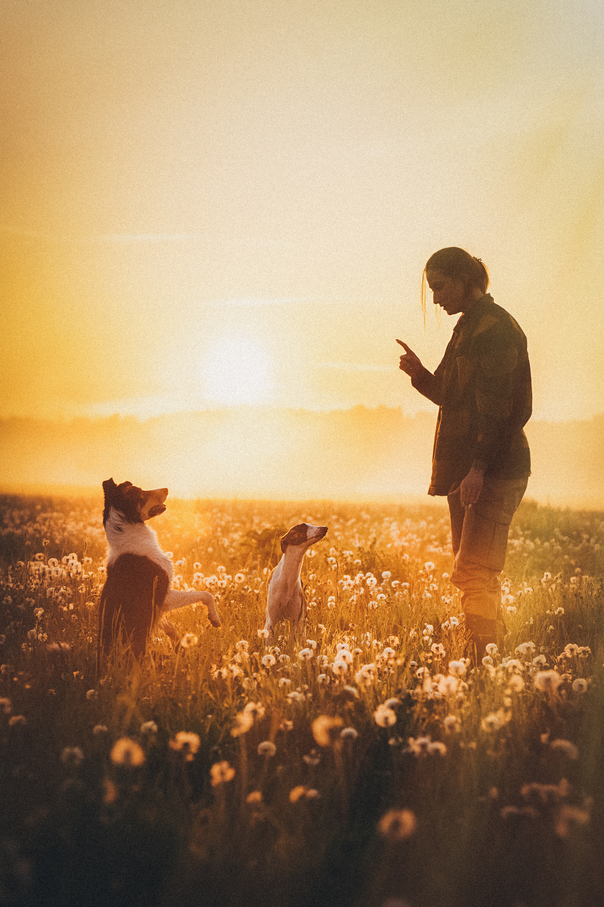 Софа, Уна и Лють. Фотограф анималист в Москве и Санкт-Петербурге Свиридова Анна