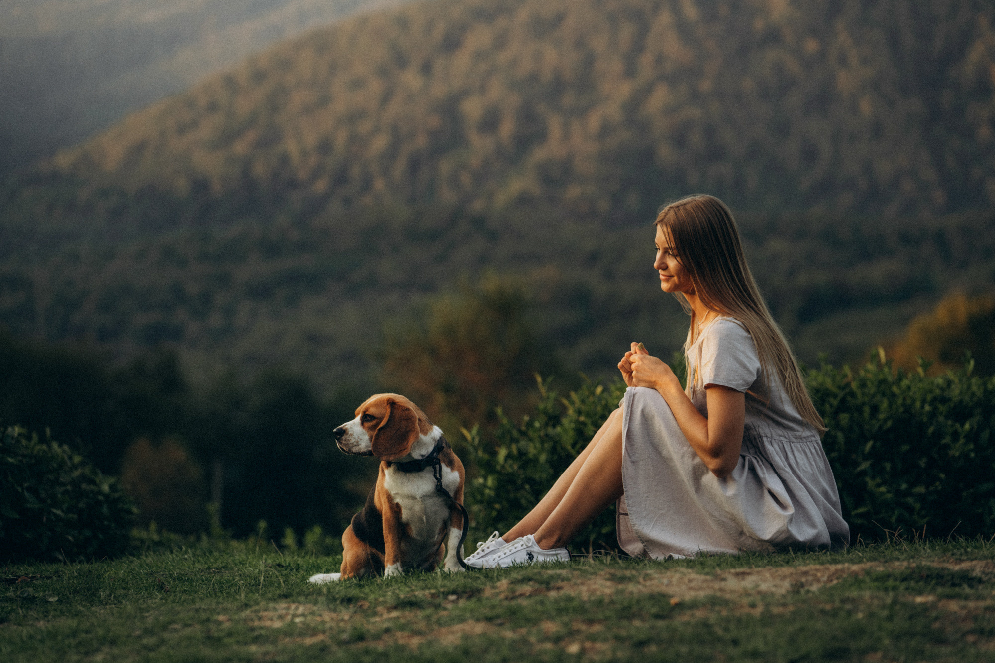 Женя и Мира. Фотограф анималист в Москве и Санкт-Петербурге Свиридова Анна