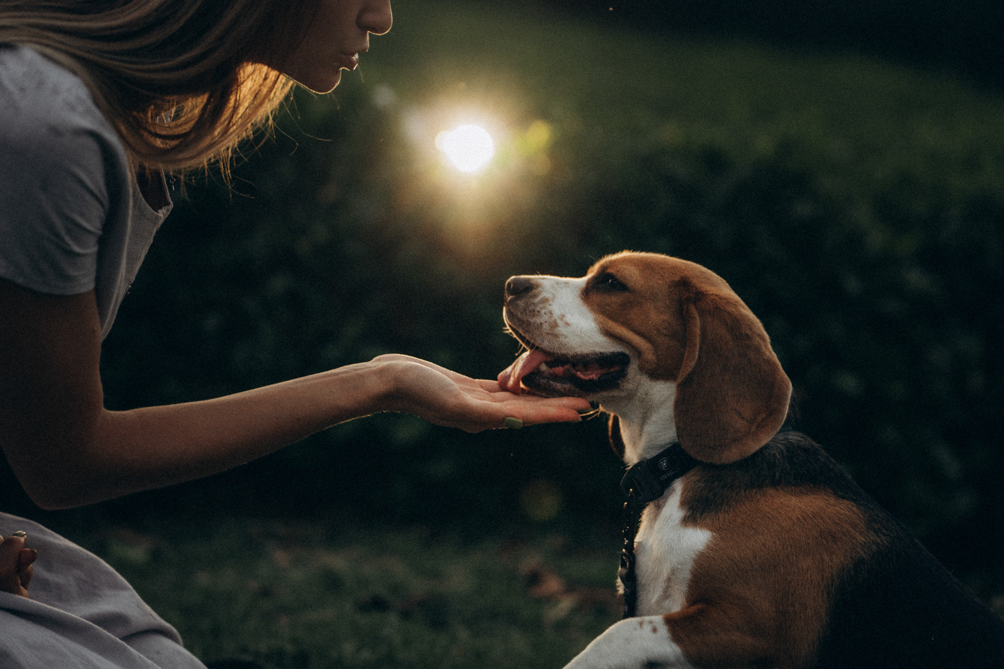 Женя и Мира. Фотограф анималист в Москве и Санкт-Петербурге Свиридова Анна