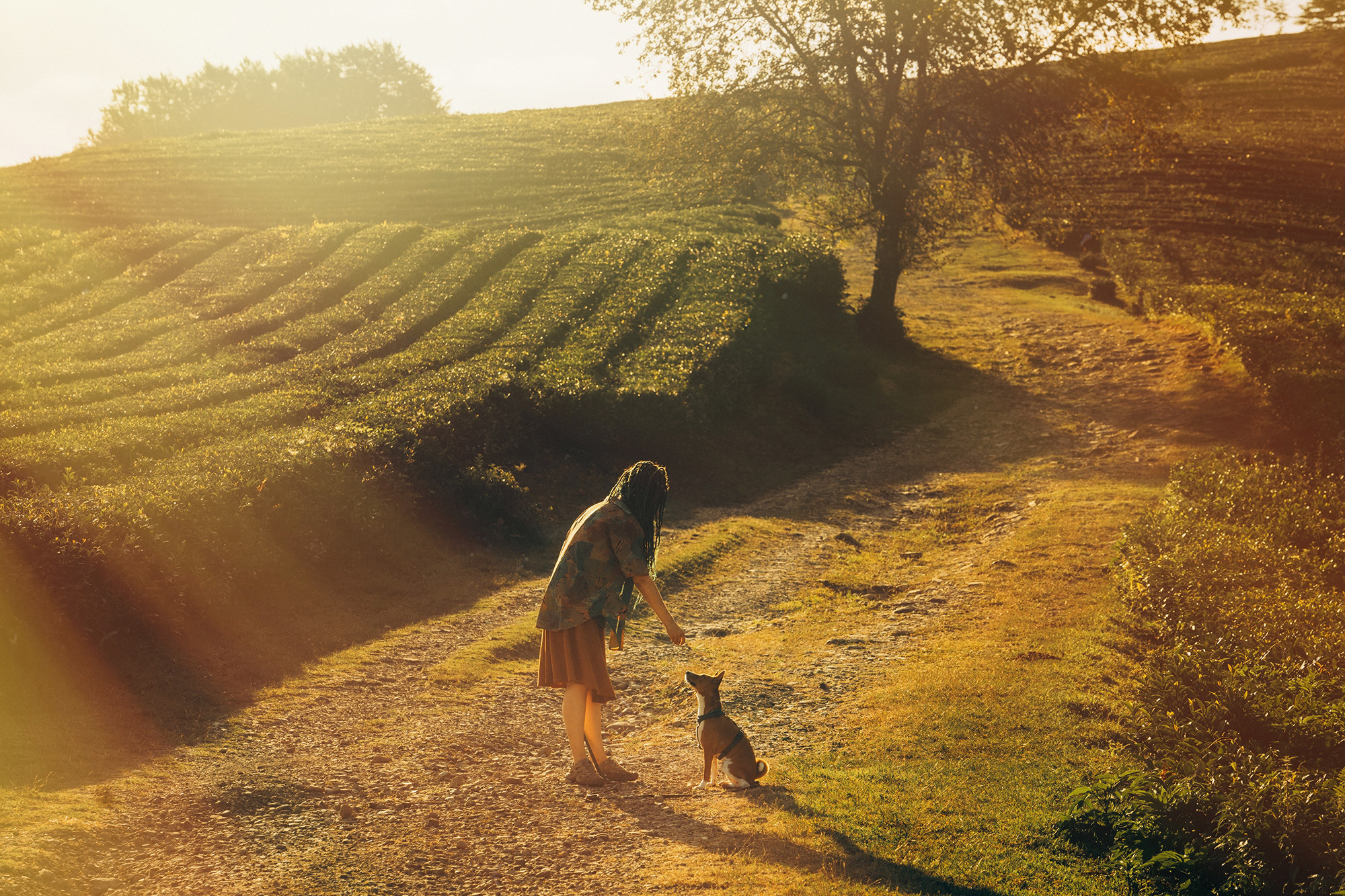 Арина и Рики. Фотограф анималист в Москве и Санкт-Петербурге Свиридова Анна
