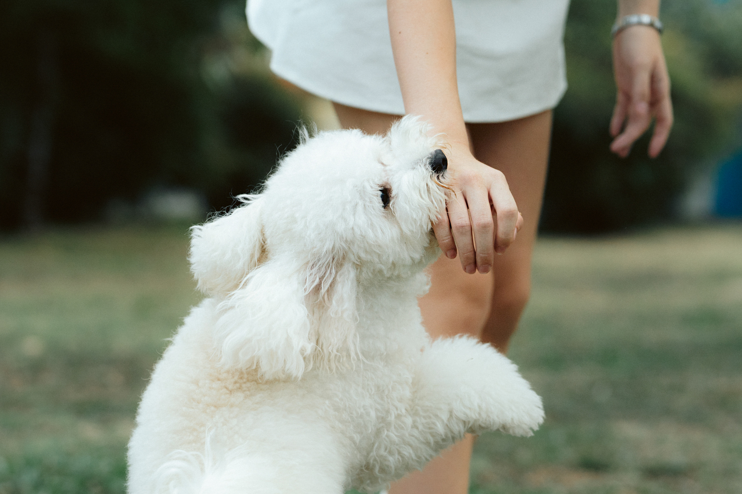 Ангелина и Варежка. Фотограф анималист в Москве и Санкт-Петербурге Свиридова Анна