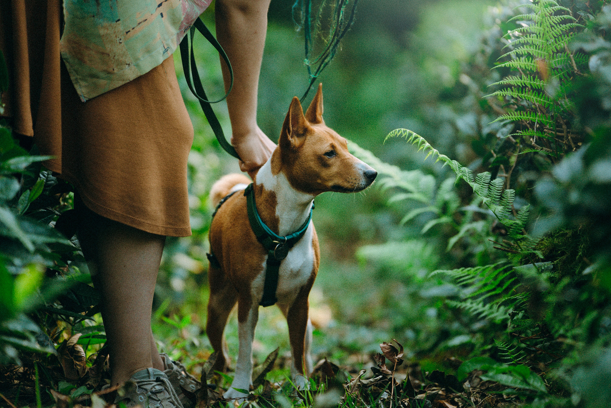 Арина и Рики. Фотограф анималист в Москве и Санкт-Петербурге Свиридова Анна