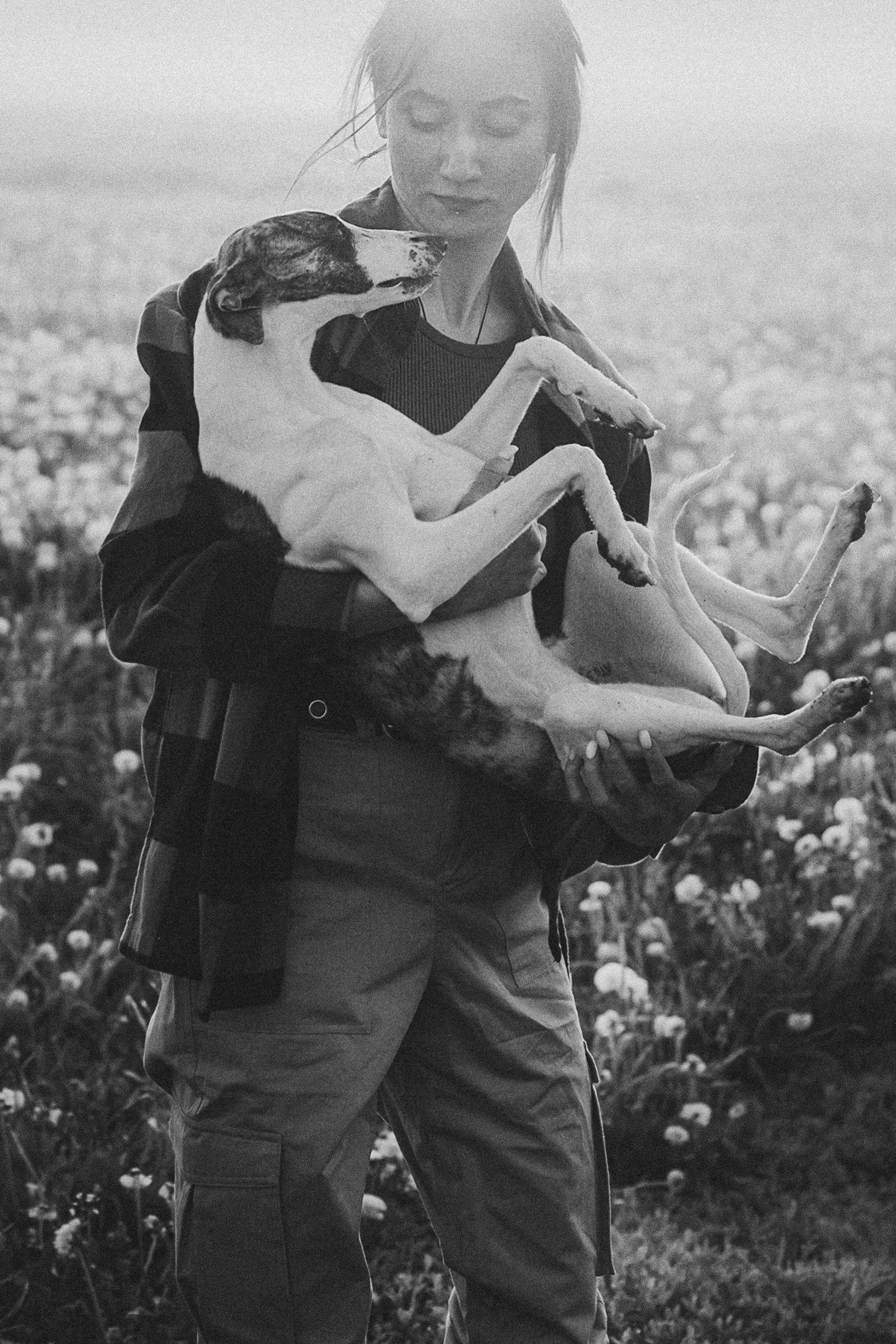 Софа, Уна и Лють. Фотограф анималист в Москве и Санкт-Петербурге Свиридова Анна