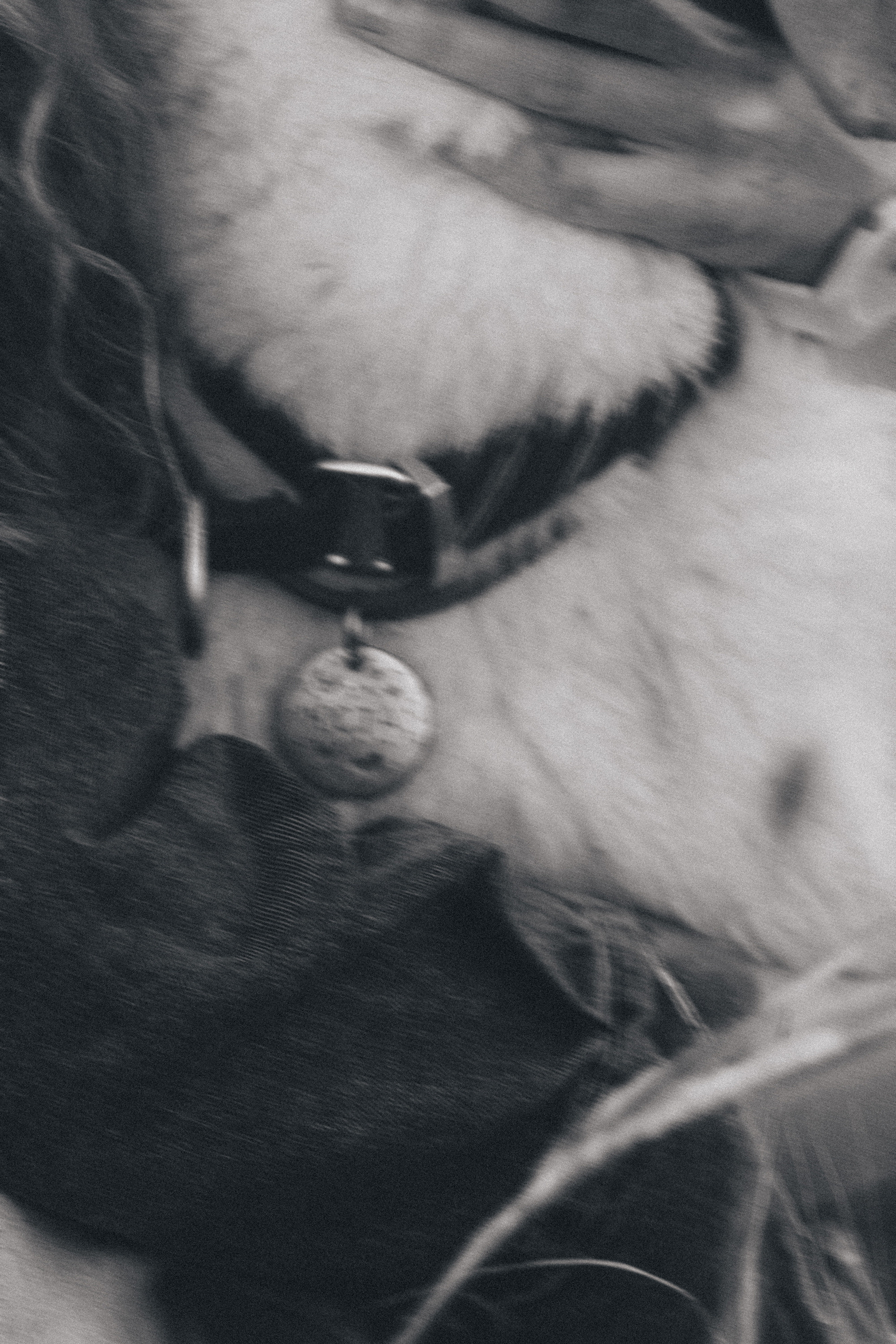 Лиза и Юста. Фотограф анималист в Москве и Санкт-Петербурге Свиридова Анна