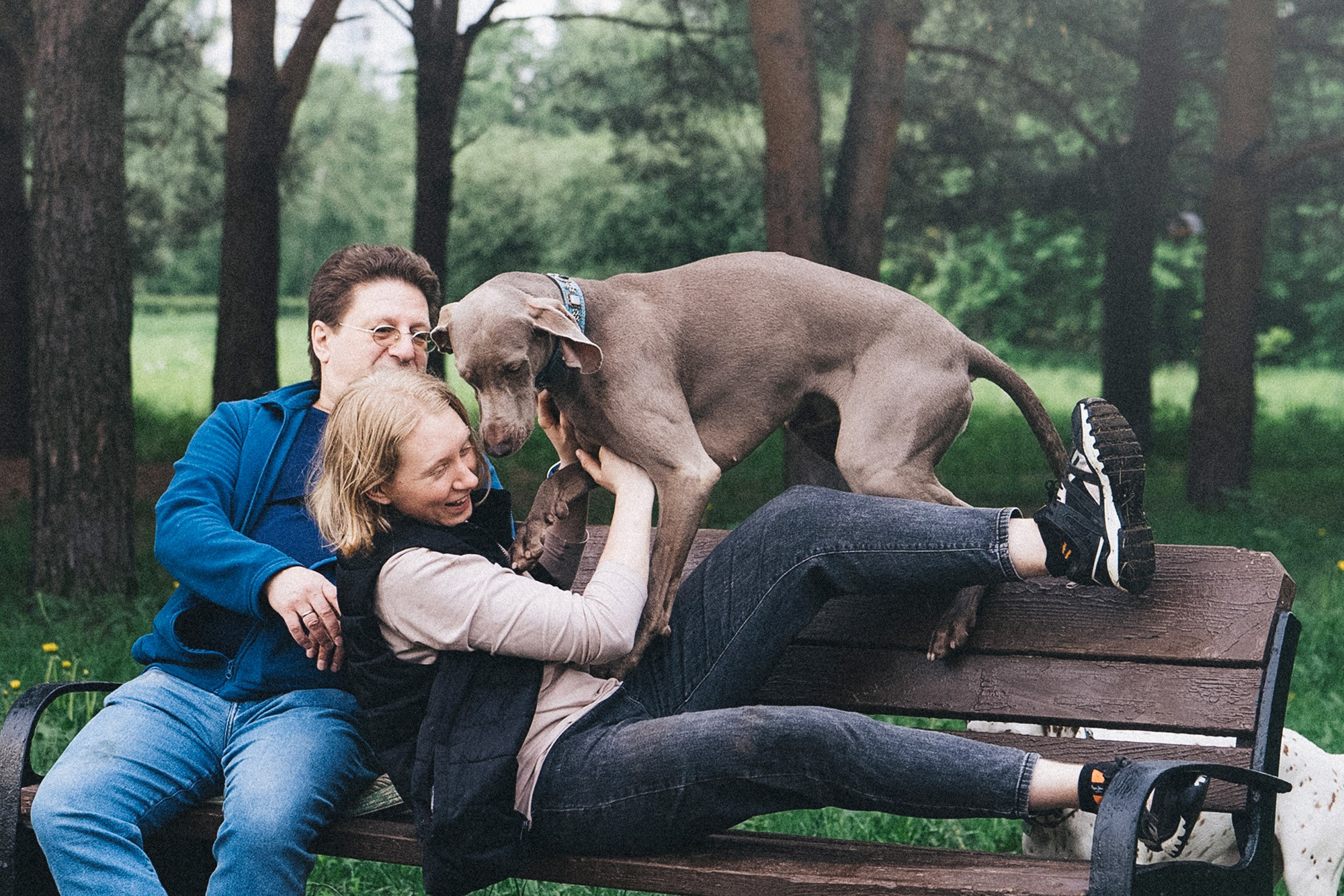 Полина, Борис, Луна и Эль. Фотограф анималист в Москве и Санкт-Петербурге Свиридова Анна