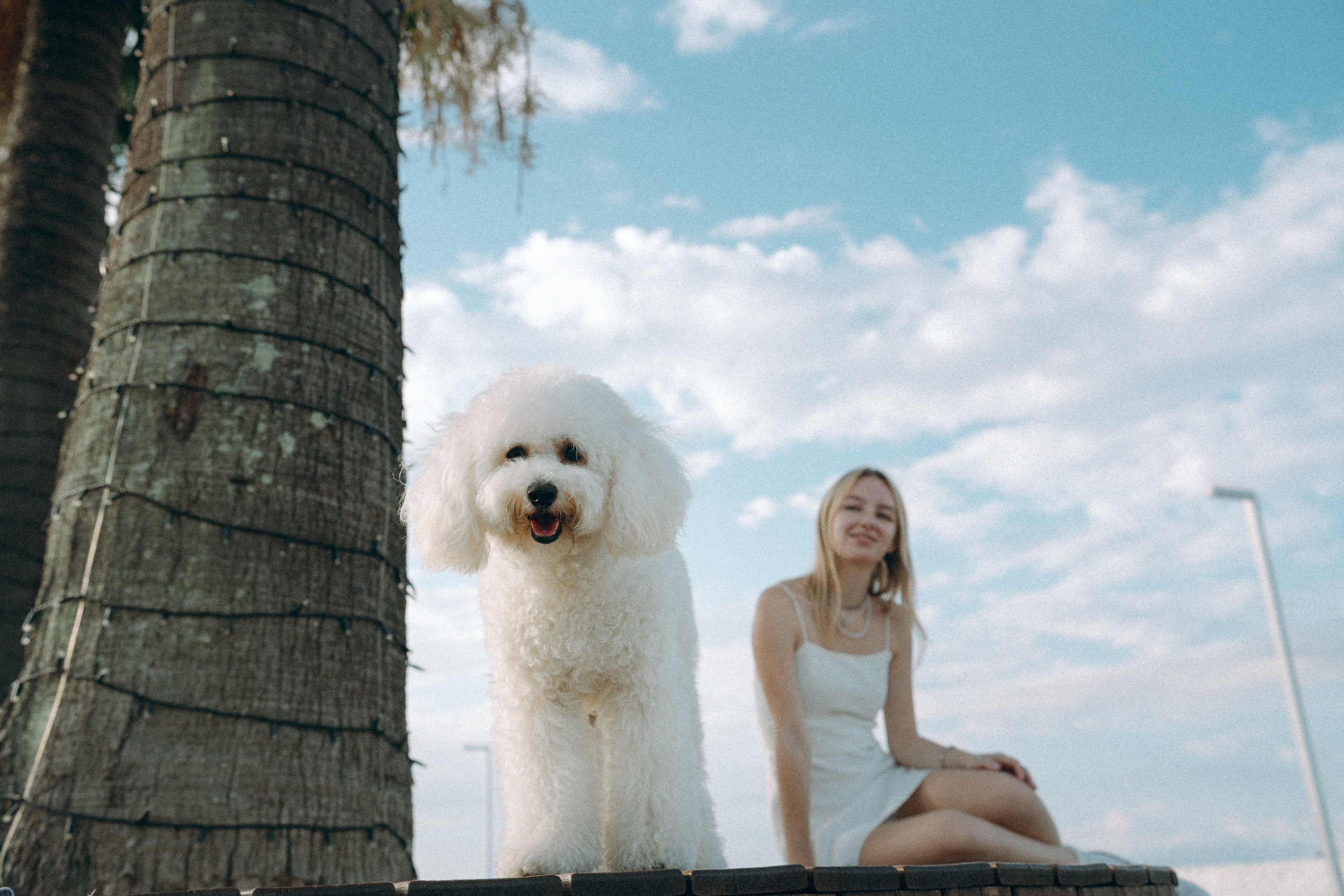 Ангелина и Варежка. Фотограф анималист в Москве и Санкт-Петербурге Свиридова Анна