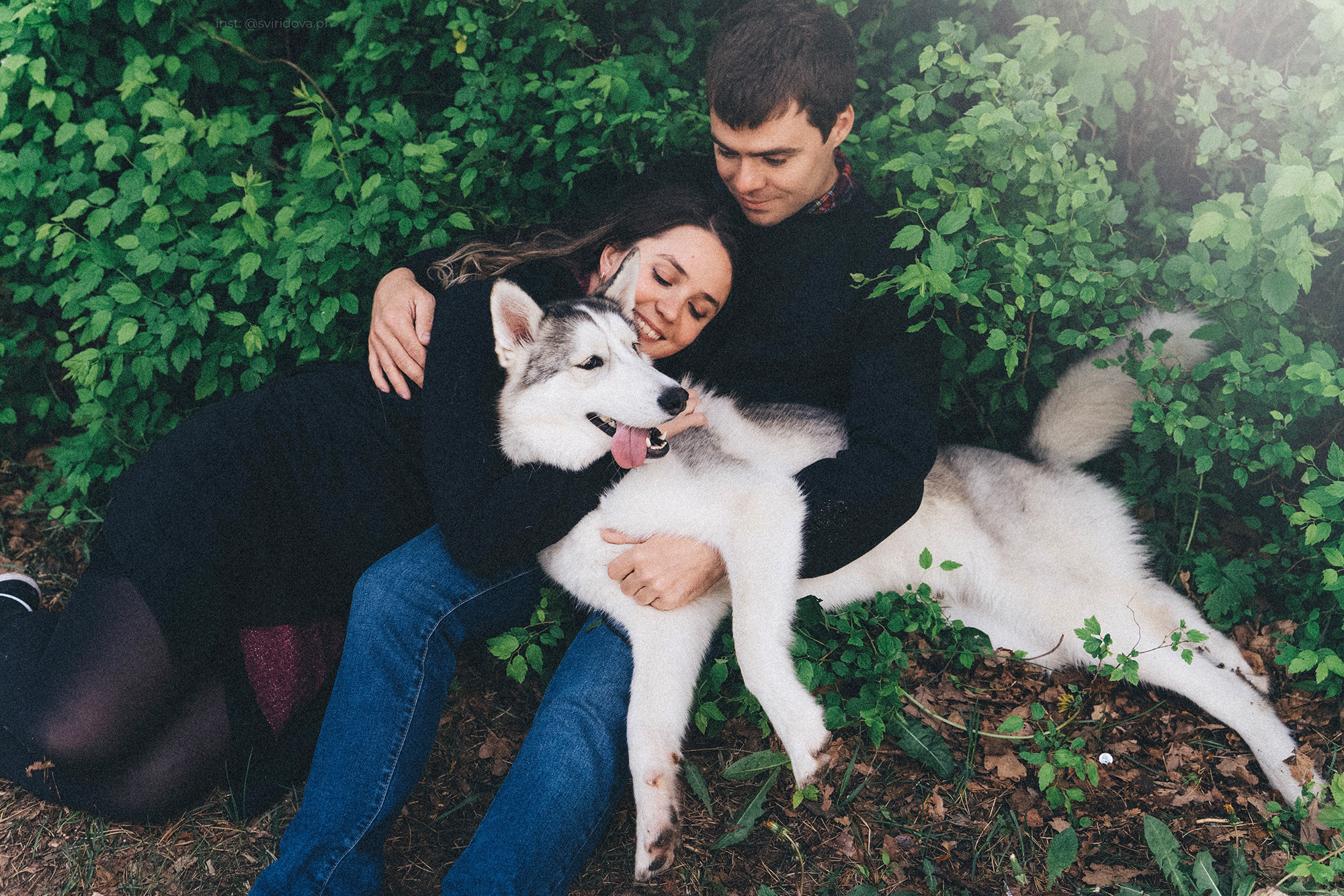Катя, Илья, Лагерта. Фотограф анималист в Москве и Санкт-Петербурге Свиридова Анна