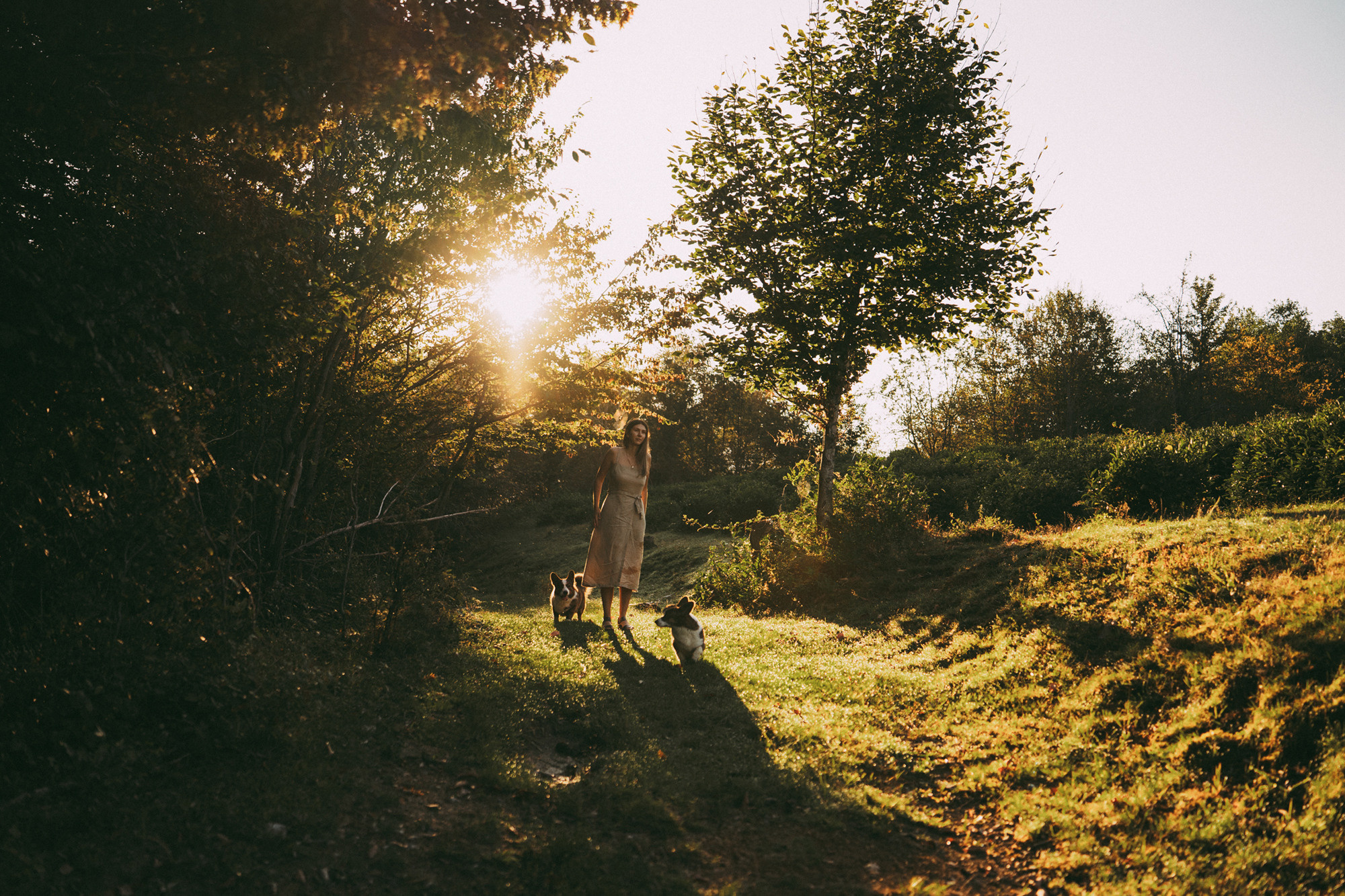 Влада и Коржики. Фотограф анималист в Москве и Санкт-Петербурге Свиридова Анна