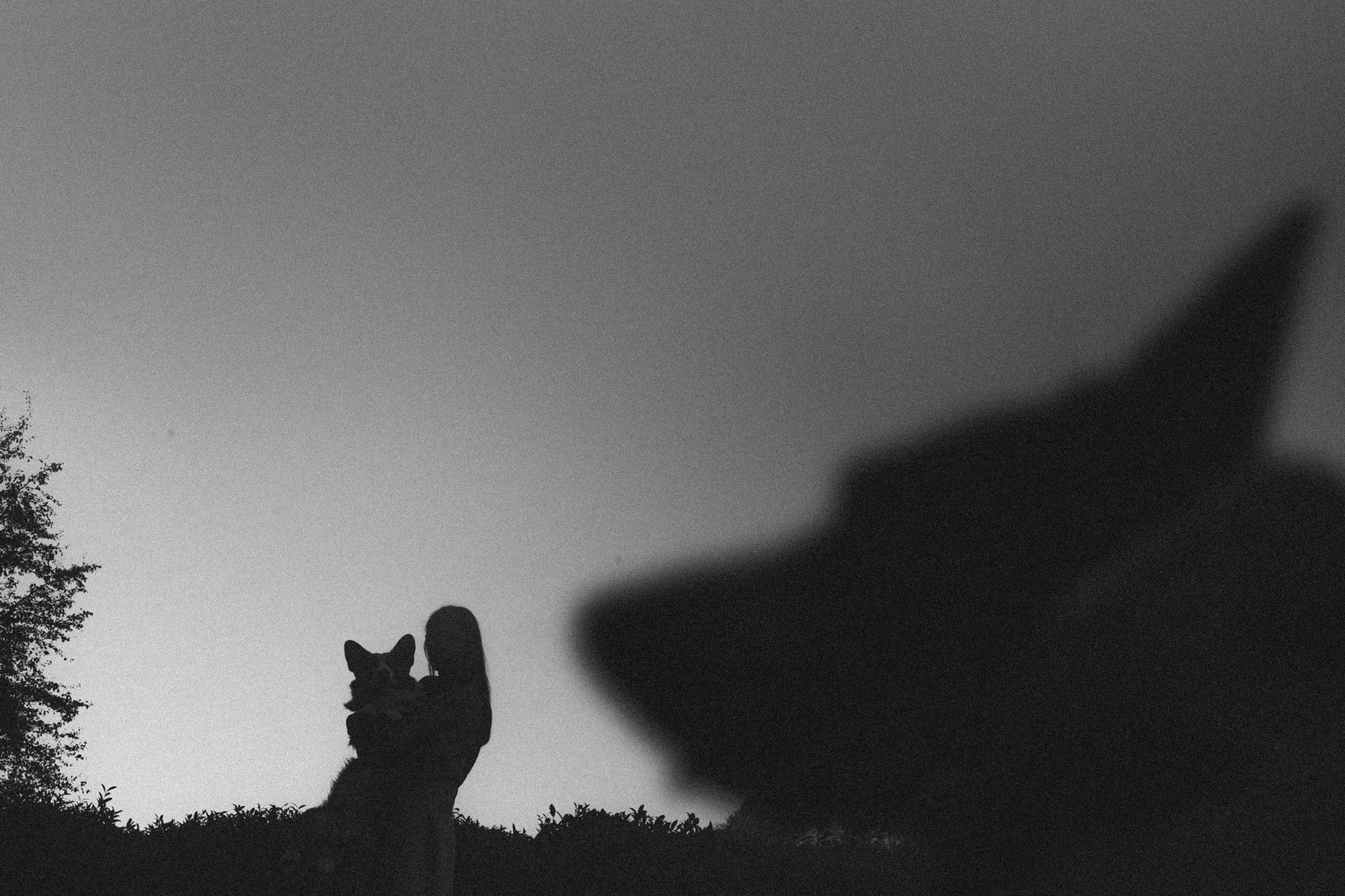 Влада и Коржики. Фотограф анималист в Москве и Санкт-Петербурге Свиридова Анна